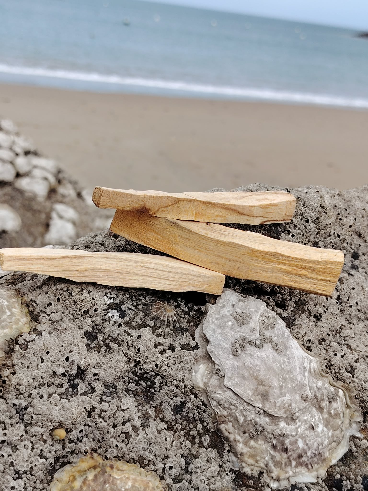 Trois bâtons de Palo Santo photographiés sur roche côtière en Bretagne avec plage en arrière-plan, bois naturel du Pérou, purification douce et harmonie intérieure.