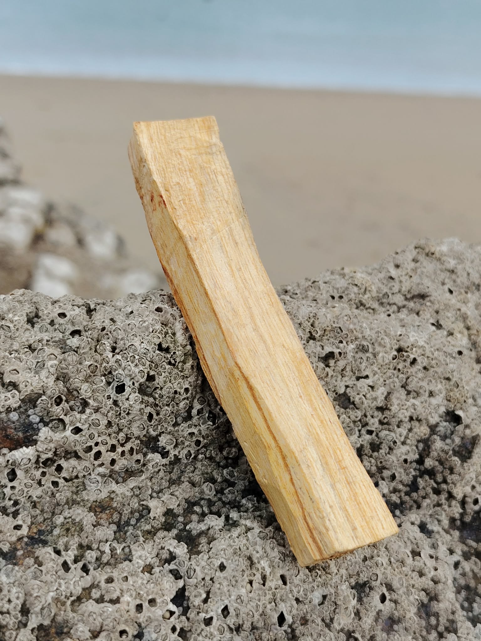 Bâton de Palo Santo du Pérou dressé sur roche marine en Bretagne, bois blond naturel, assainissement énergétique et retour au calme.