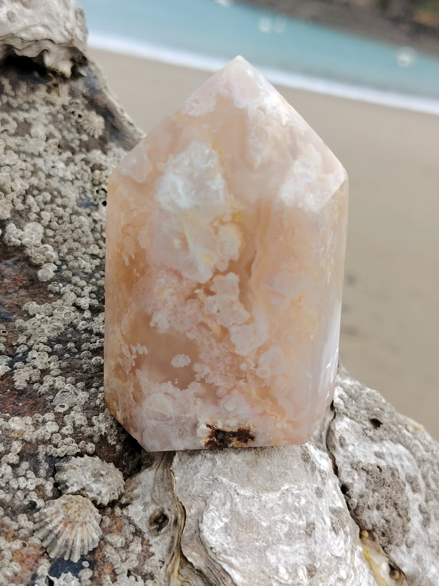 Pointe agate fleur de cerisier posée sur roche coquillée face à la plage, pierre rose crème naturelle, douceur émotionnelle et recentrage.
