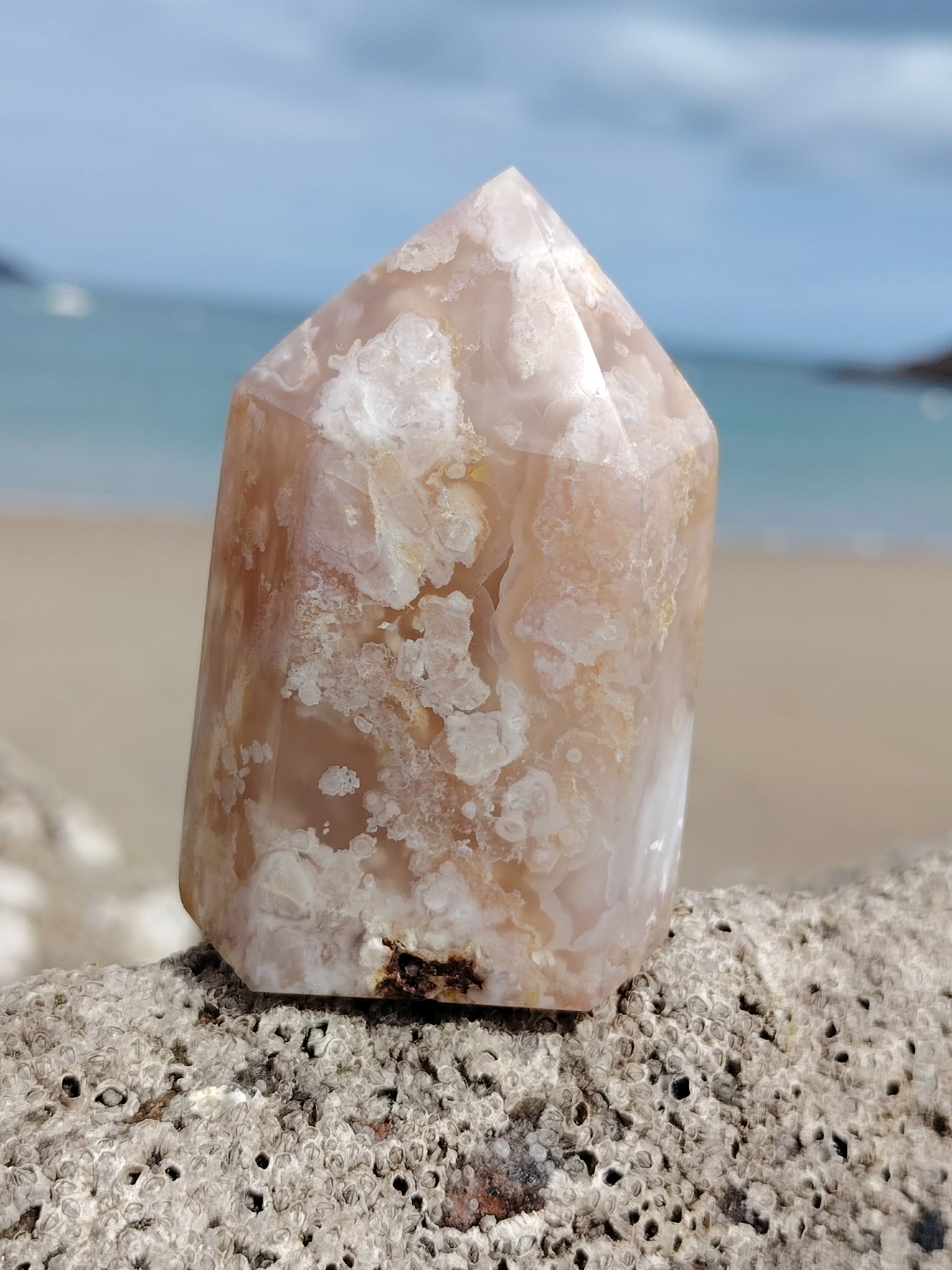 Pointe agate fleur de cerisier sur roche marine texturée avec mer en arrière-plan, pierre rose sable aux motifs naturels, paix intérieure et harmonie.