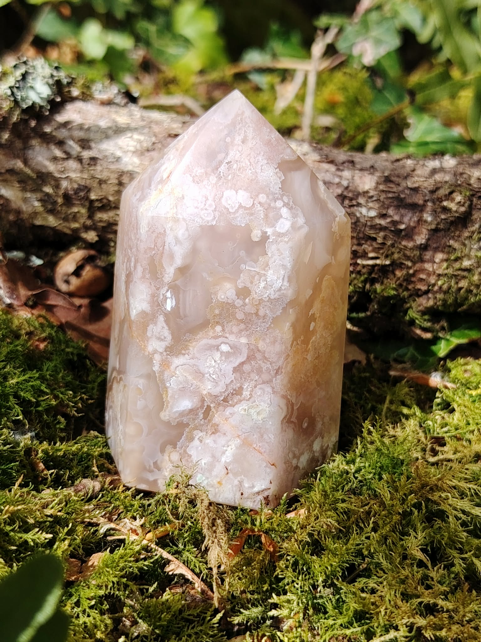Pointe agate fleur de cerisier sur tapis de mousse devant une branche boisée, pierre aux inclusions fleuries, sérénité émotionnelle et croissance intérieure.