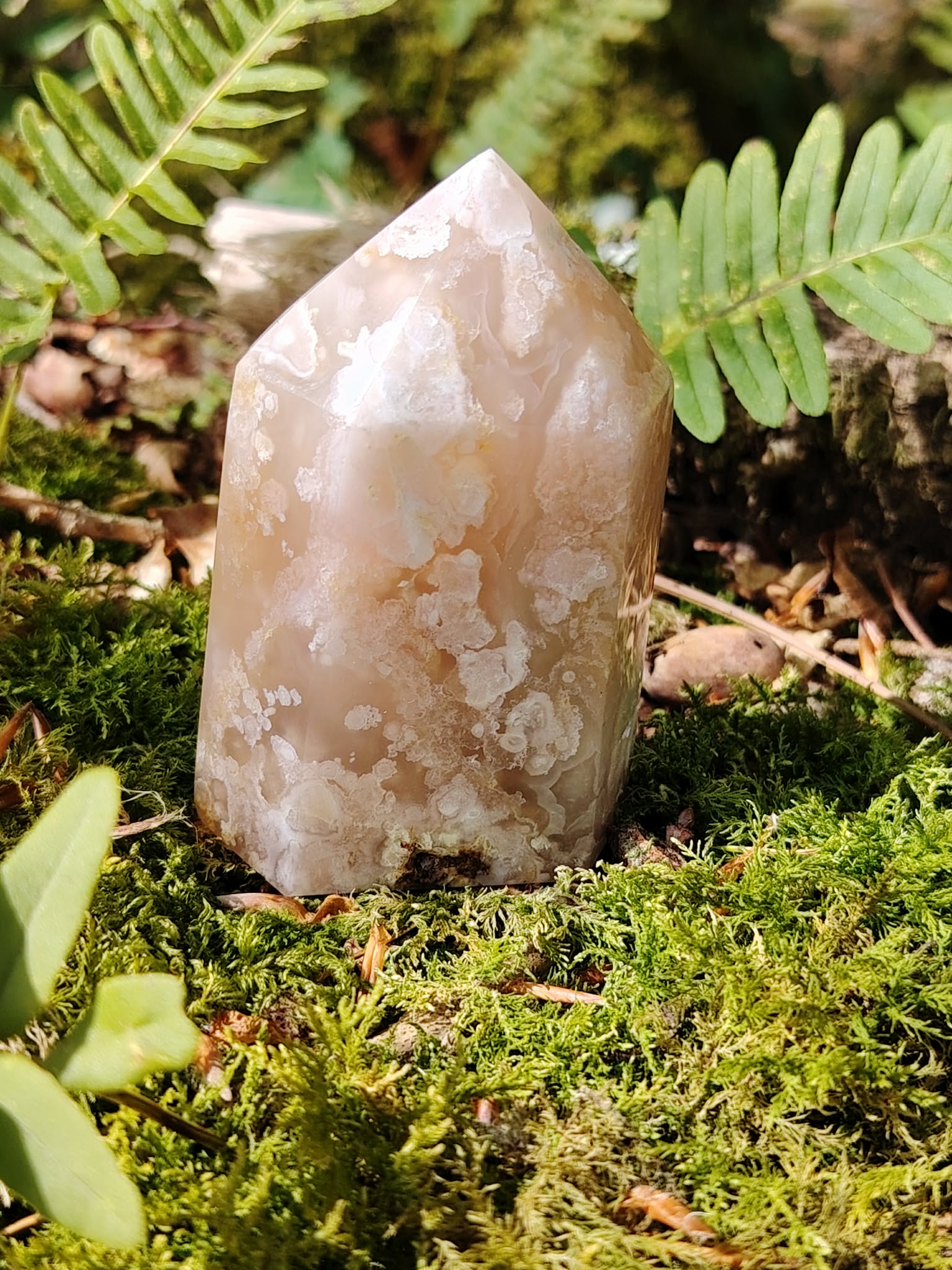 Pointe agate fleur de cerisier sur mousse avec fougères en décor naturel, pierre rose poudré aux motifs floraux, apaisement intérieur et épanouissement personnel.