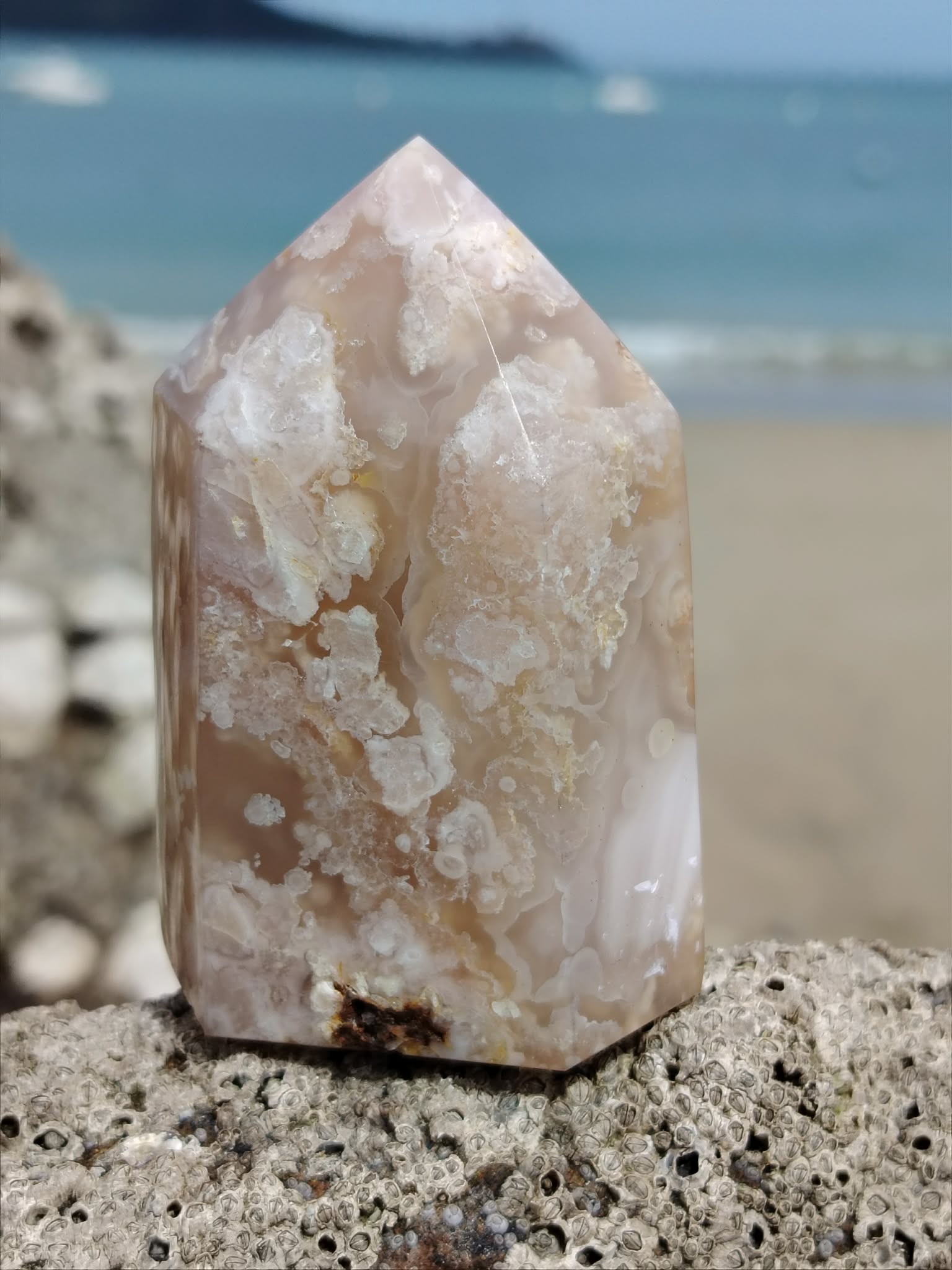 Pointe agate fleur de cerisier photographiée sur pierre coquillée en lumière naturelle, reflets rosés et volutes florales, réconfort émotionnel et douceur.