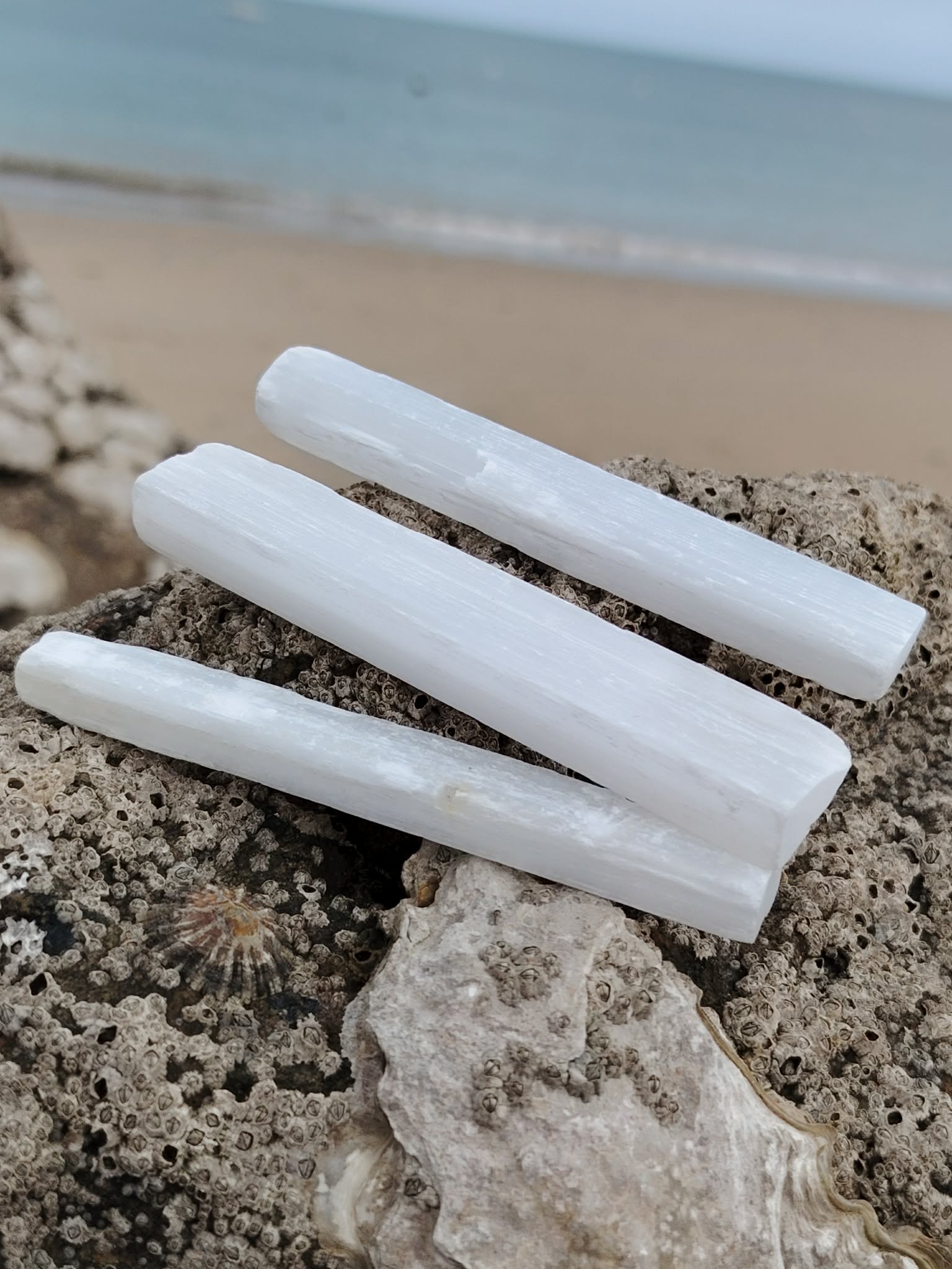 Baguette de sélénite tenue en main en Bretagne en lumière naturelle, pierre blanche translucide, apaisement émotionnel et sensation de légèreté.