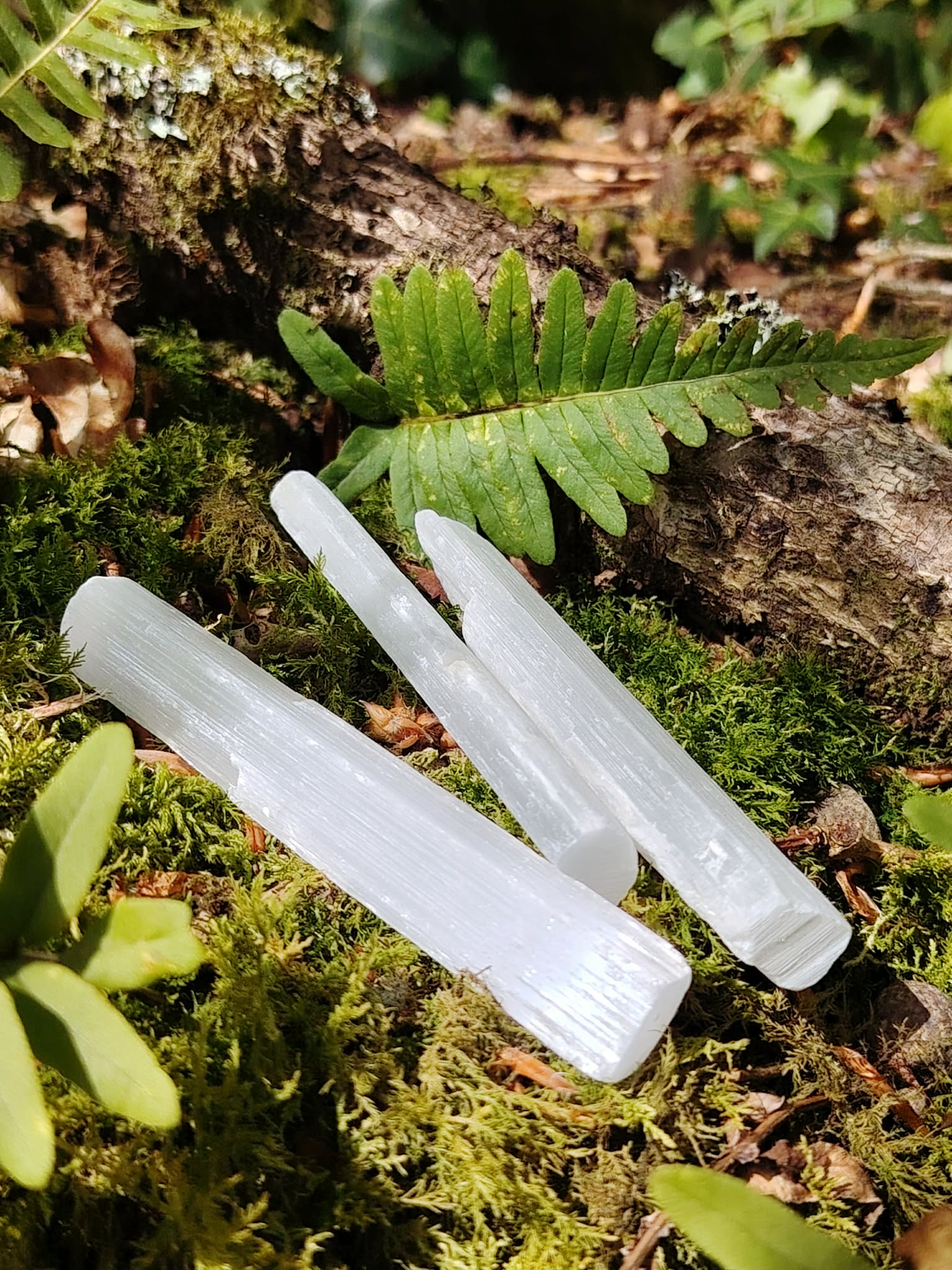 Baguette de sélénite photographiée en Bretagne sur fond clair, pierre blanche satinée aux reflets doux, clarté mentale et ambiance apaisante.
