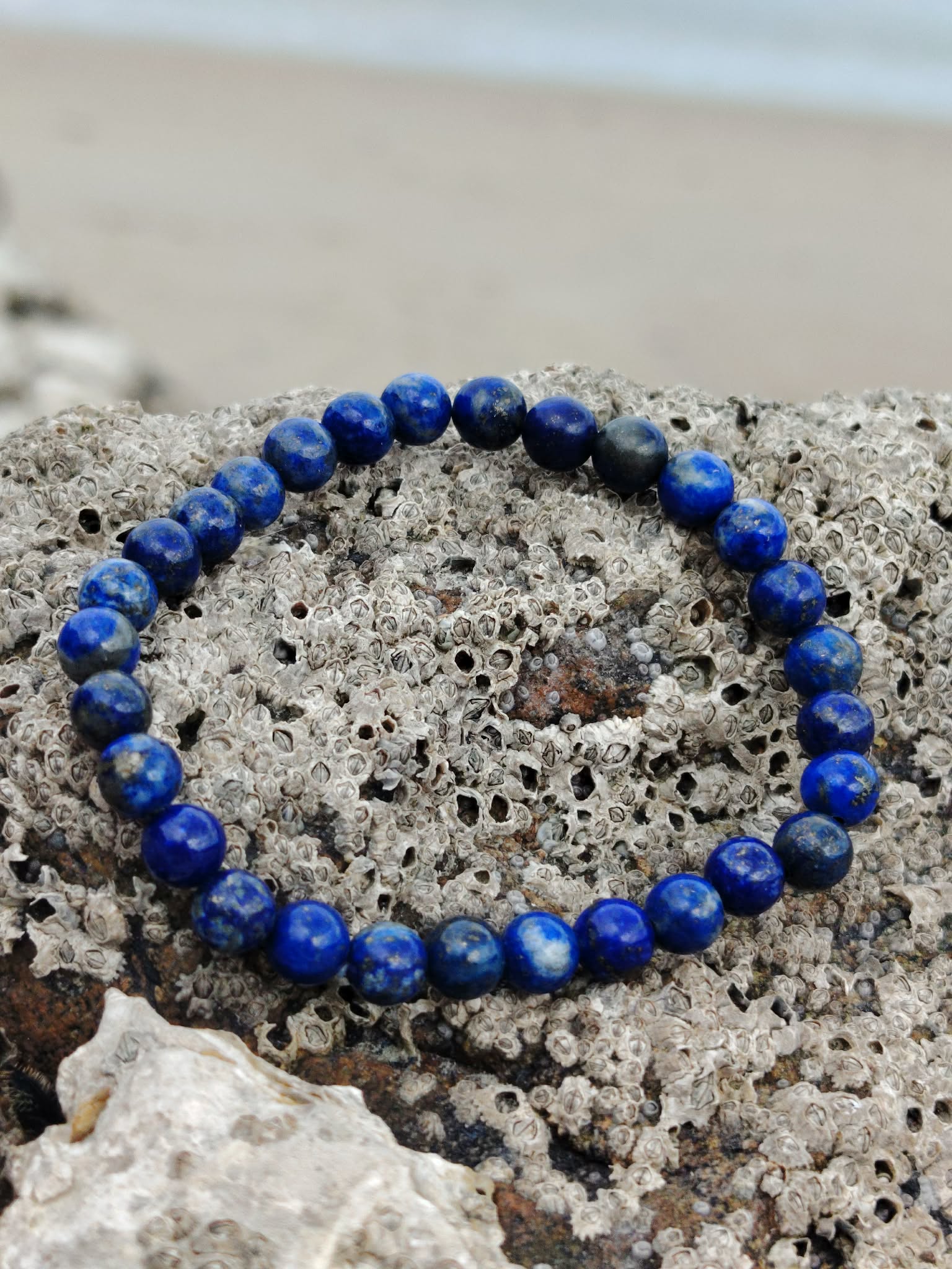 Bracelet Lapis Lazuli 6 mm posé sur roche marine couverte de petits coquillages, perles bleu outremer naturelles, confiance intérieure et expression sincère.