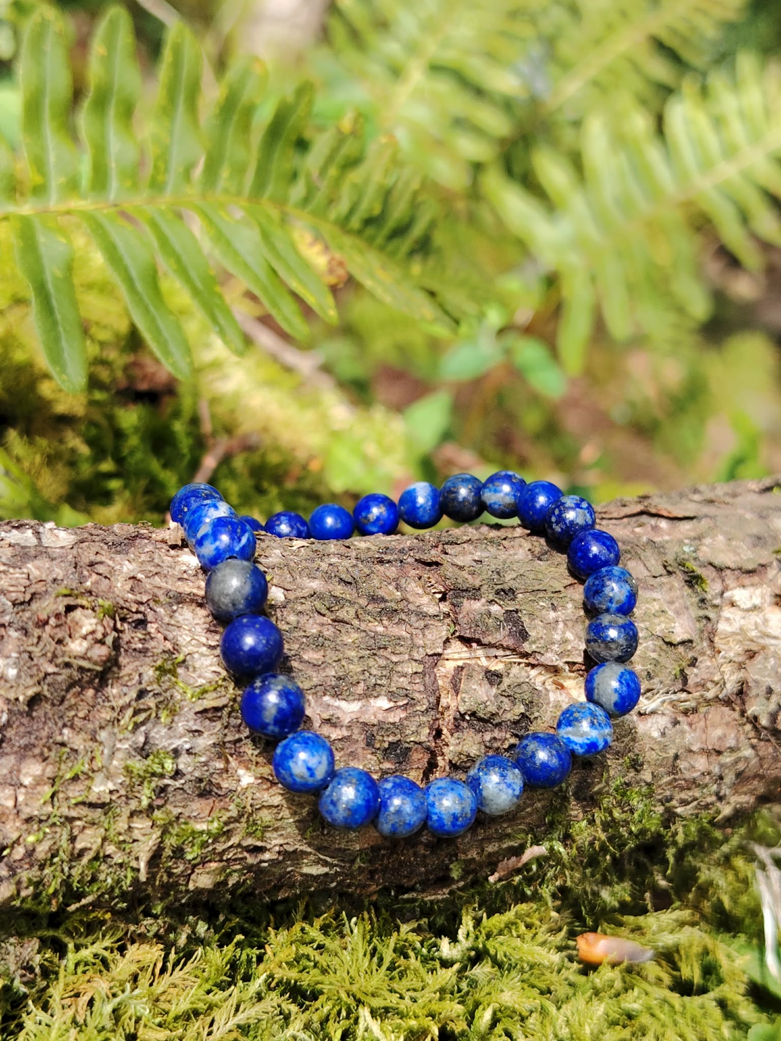 Bracelet Lapis Lazuli 6 mm présenté sur branche en sous-bois avec mousse et fougères, perles bleu profond veinées, intuition et parole apaisée.