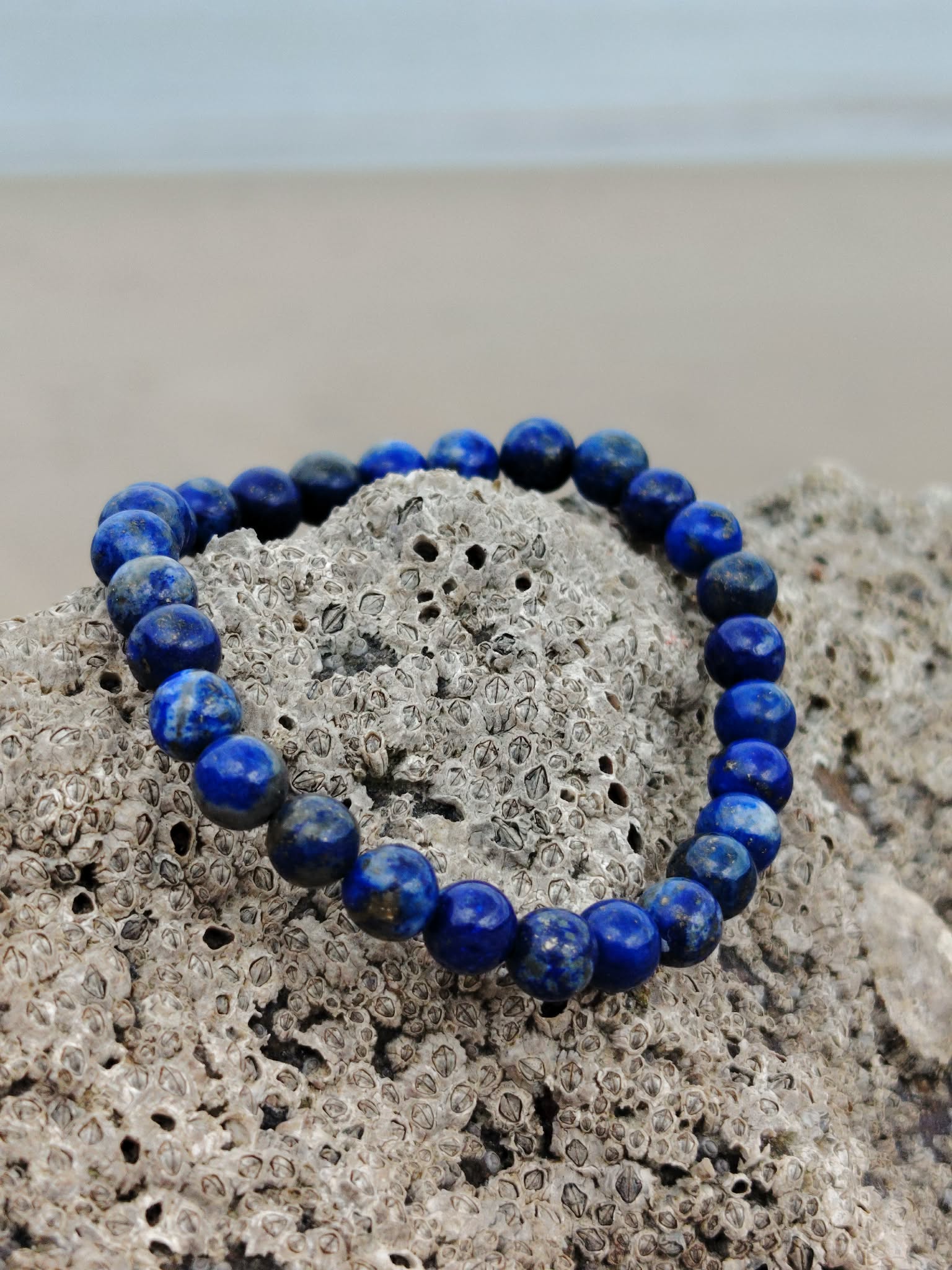 Bracelet Lapis Lazuli 6 mm photographié sur rocher coquillé en lumière naturelle, perles bleu profond marbrées, assurance personnelle et apaisement du mental.