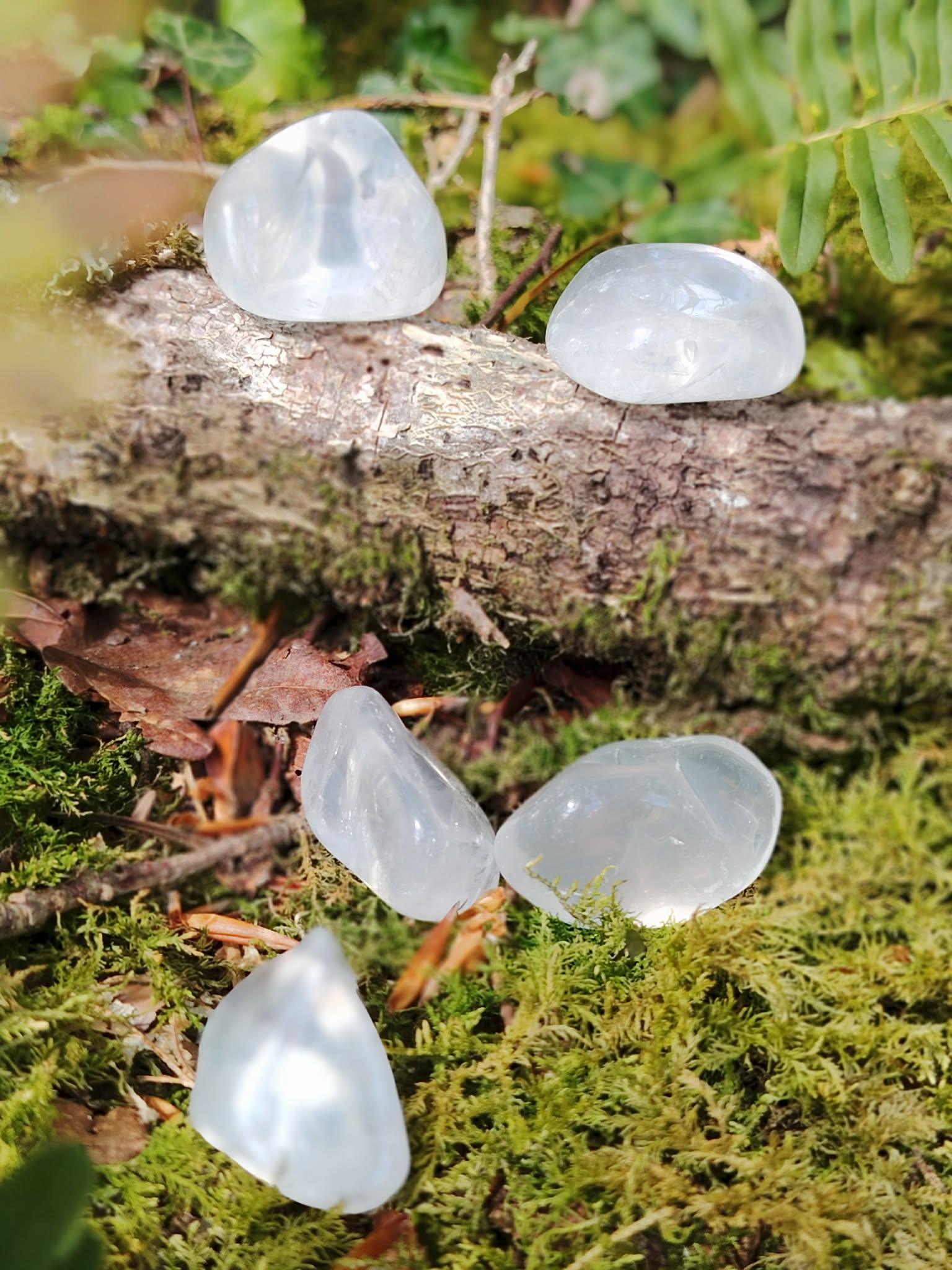 Cristal de roche naturel présenté en lumière douce, pierre transparente associée à recentrage et élévation vibratoire.