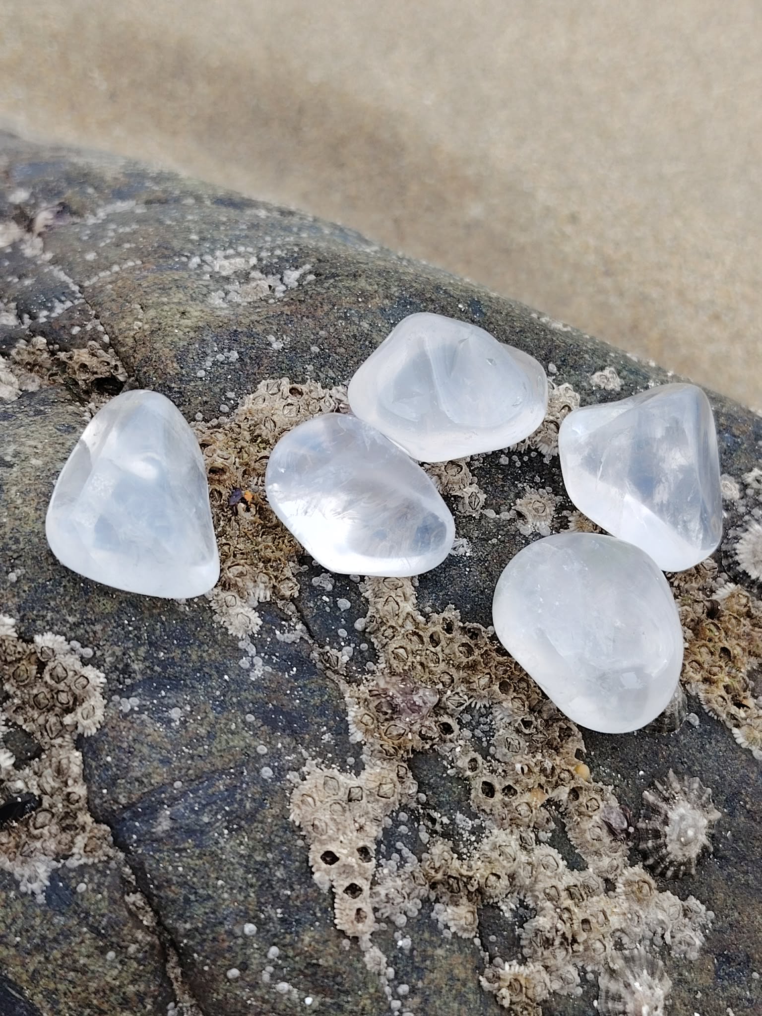 Cristal de roche sur support naturel, quartz translucide aux éclats purs, apaisement du mental et circulation énergétique.