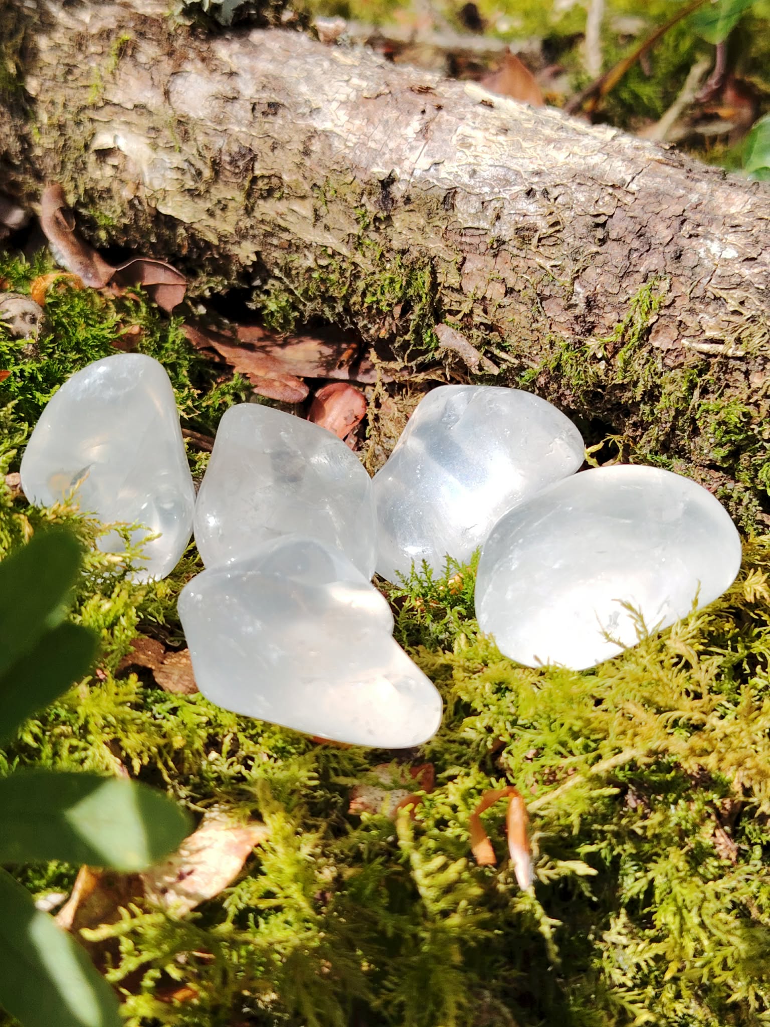 Cristal de roche poli sur décor naturel, pierre transparente aux reflets lumineux, clarté mentale et amplification des énergies.
