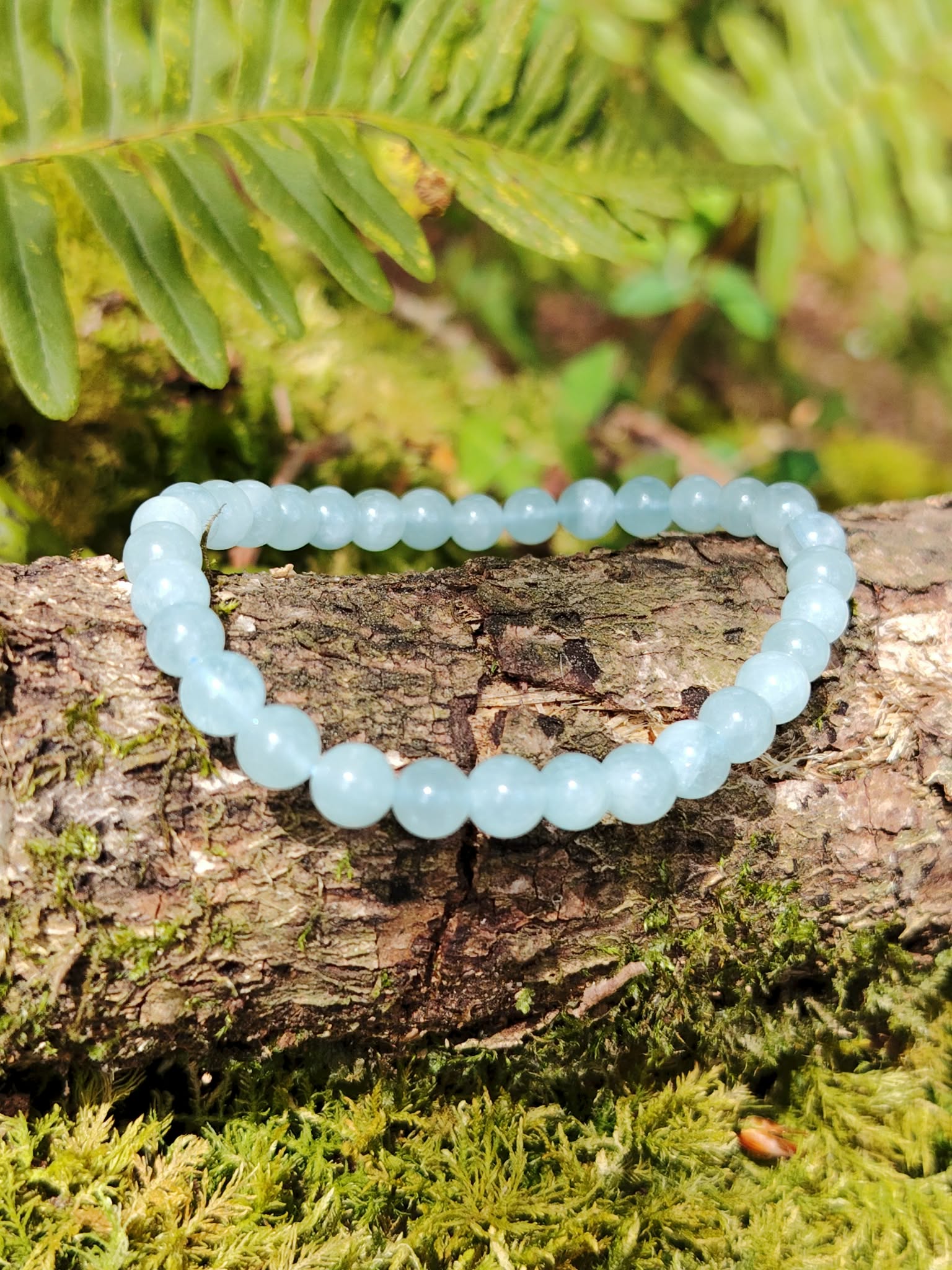 Bracelet Aigue-Marine 6 mm sur branche couverte de mousse, perles bleu clair naturelles, apaisement émotionnel et expression plus fluide.