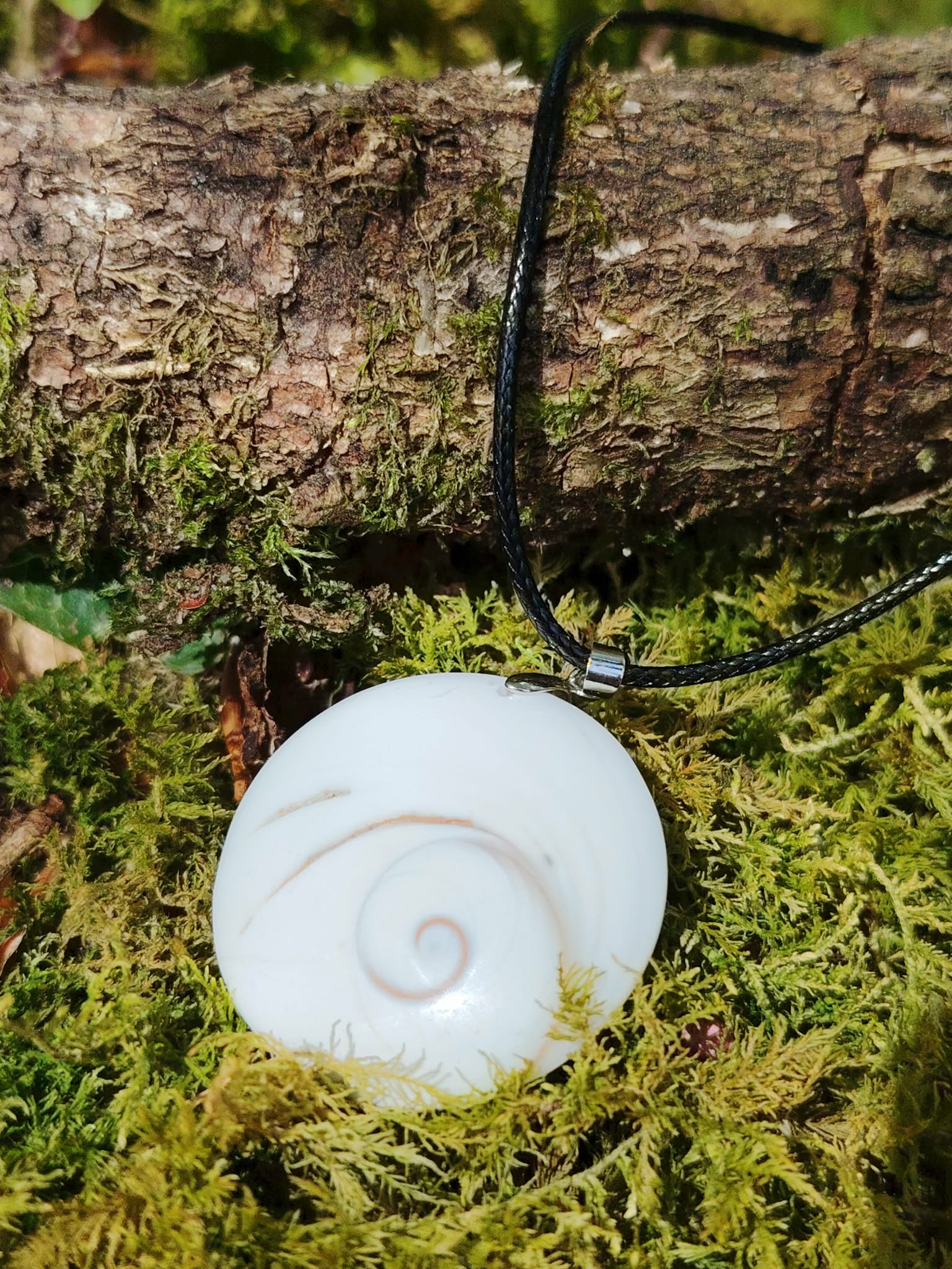Pendentif œil de Sainte Lucie blanc à spirale naturelle sur cordon noir, présenté sur mousse verte sous une branche de bois, harmonie intérieure et énergie protectrice.