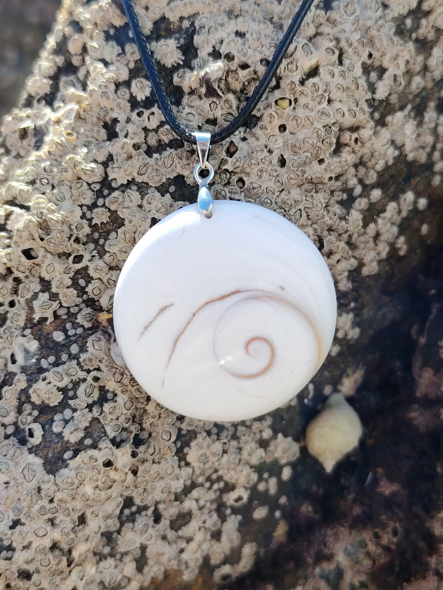 Pendentif rond œil de Sainte Lucie sur cordon noir, photographié sur rocher marin texturé, bijou coquillage naturel porte-bonheur, équilibre émotionnel et sérénité.