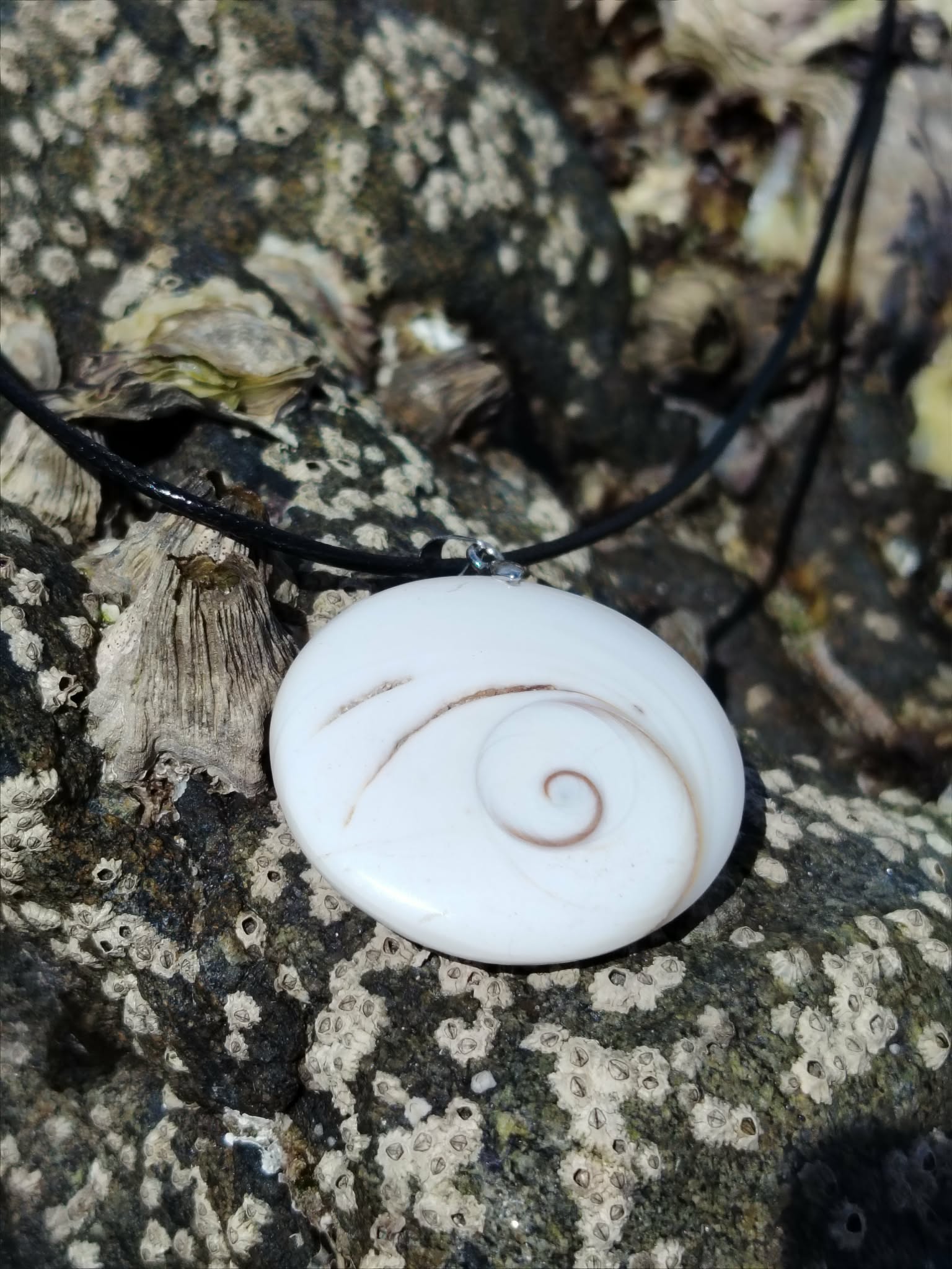 Pendentif coquillage œil de Sainte Lucie blanc sur cordon noir, posé sur roche sombre en bord de mer, bijou marin naturel de protection et de douceur.