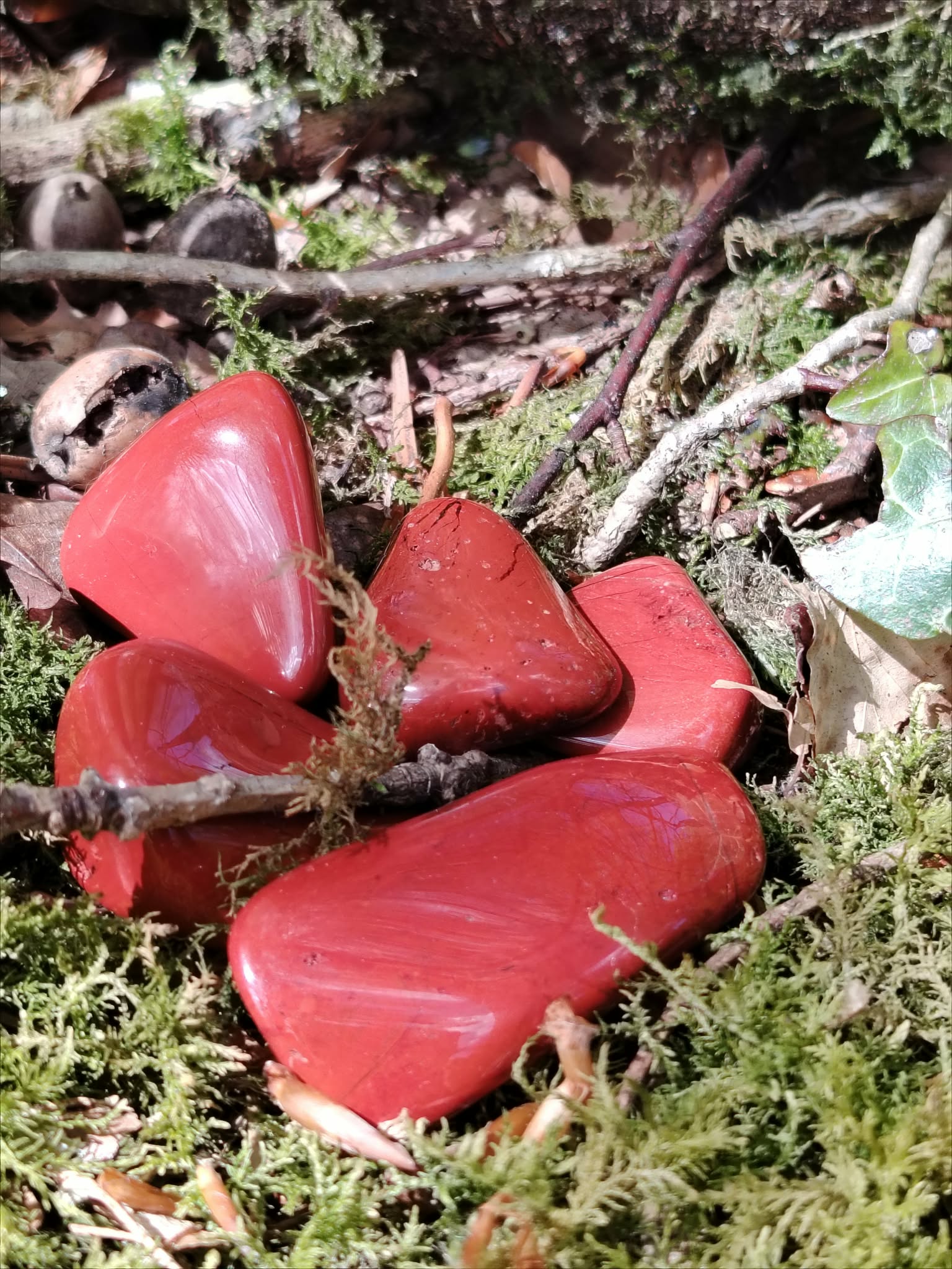 Pierres roulées de jaspe rouge sur bois naturel, pierres associées à l’ancrage, à la vitalité et à la stabilité intérieure.