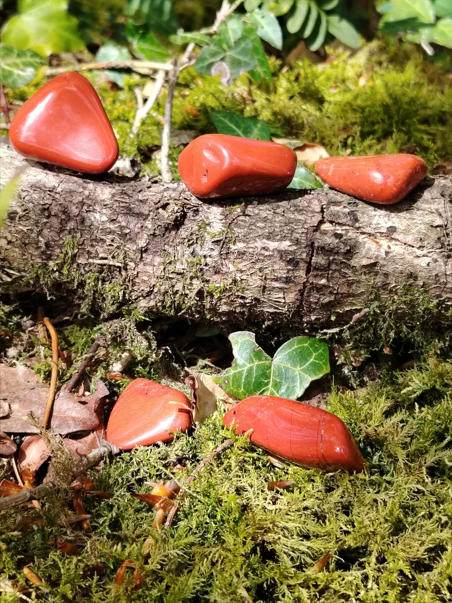 Pierres roulées de jaspe rouge sur décor bois avec herbe, pierres naturelles évoquant la force tranquille, l’élan intérieur et l’équilibre émotionnel.