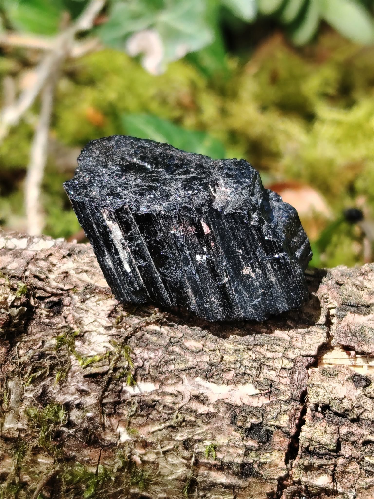 Tourmaline noire brute posée sur un tronc moussu en forêt en Bretagne, pierre naturelle noire associée à l’ancrage, à la protection et à la stabilité intérieure.