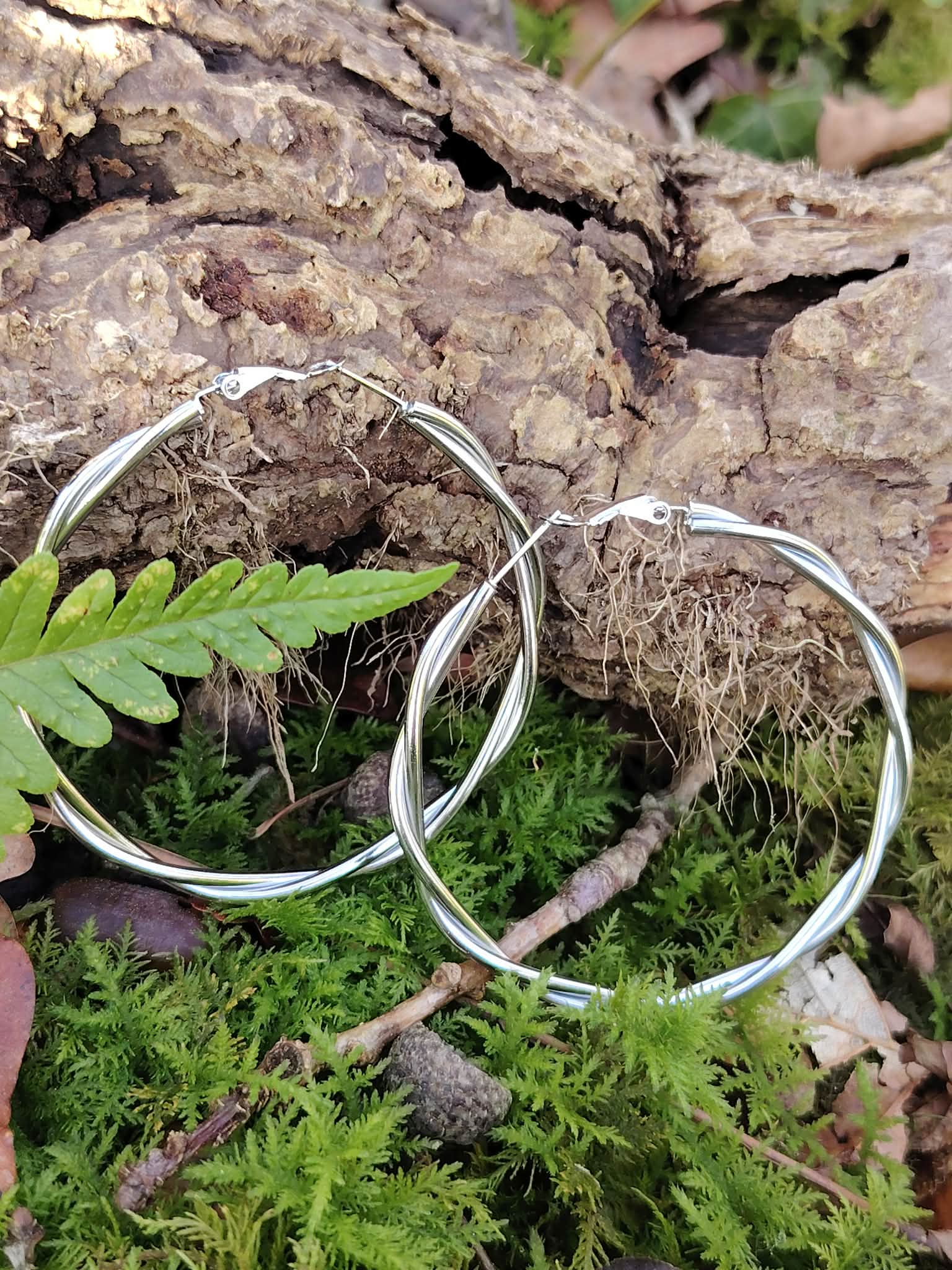 Boucles d’oreilles créoles argentées effet torsadé lisse sur mousse et écorce en forêt, acier inoxydable brillant, élégance légère et style intemporel.