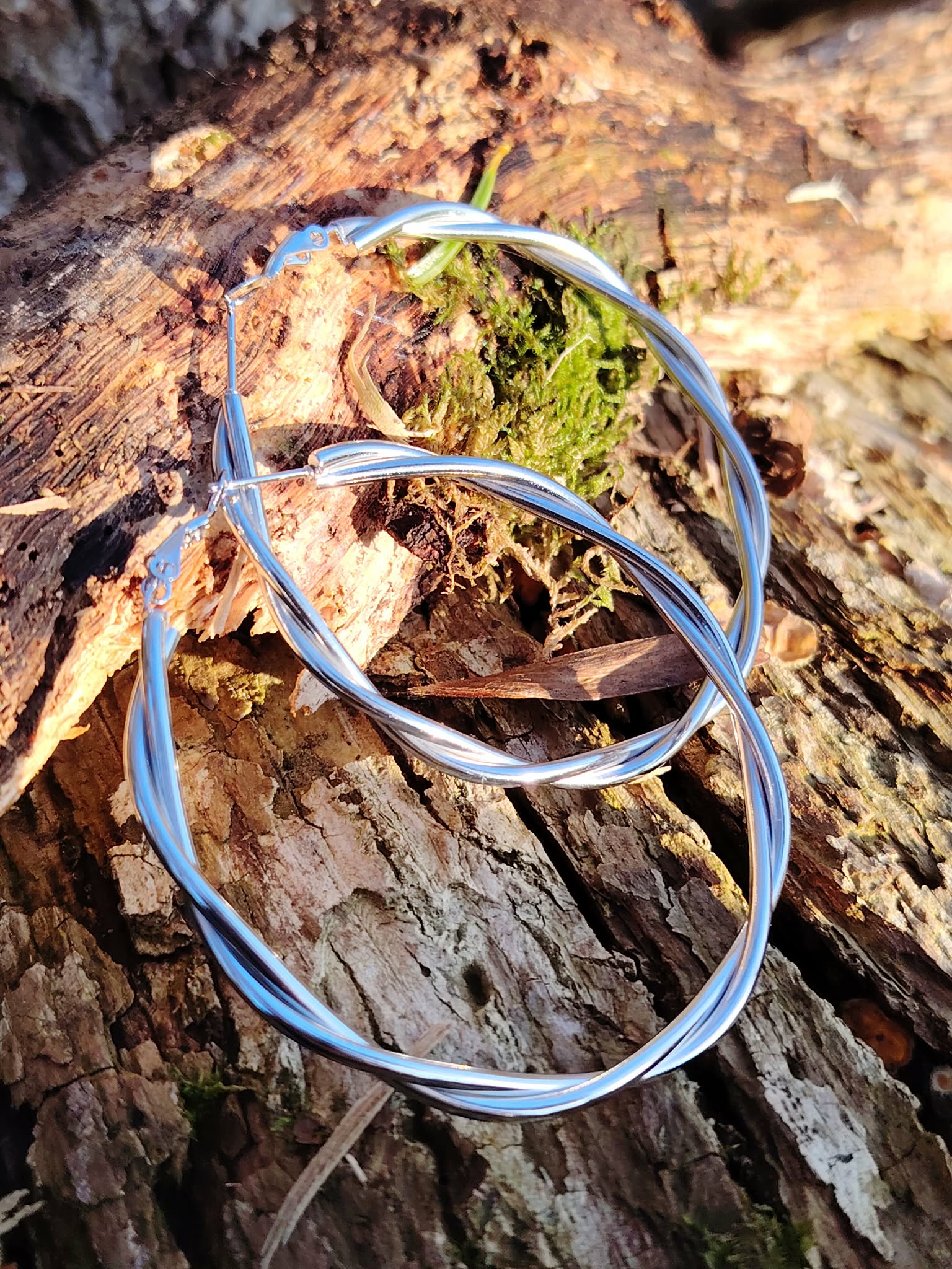 Créoles argentées torsadées en gros plan sur bois naturel avec mousse, boucles d’oreilles en acier inoxydable à la finition lisse et lumineuse.