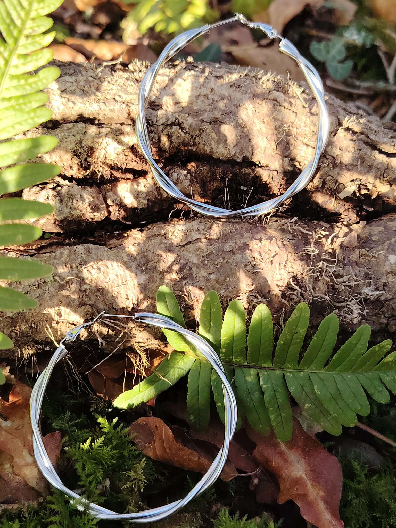 Créoles argentées effet torsadé lisse sur écorce avec fougères en forêt, boucles d’oreilles en acier inoxydable au style sobre et raffiné.