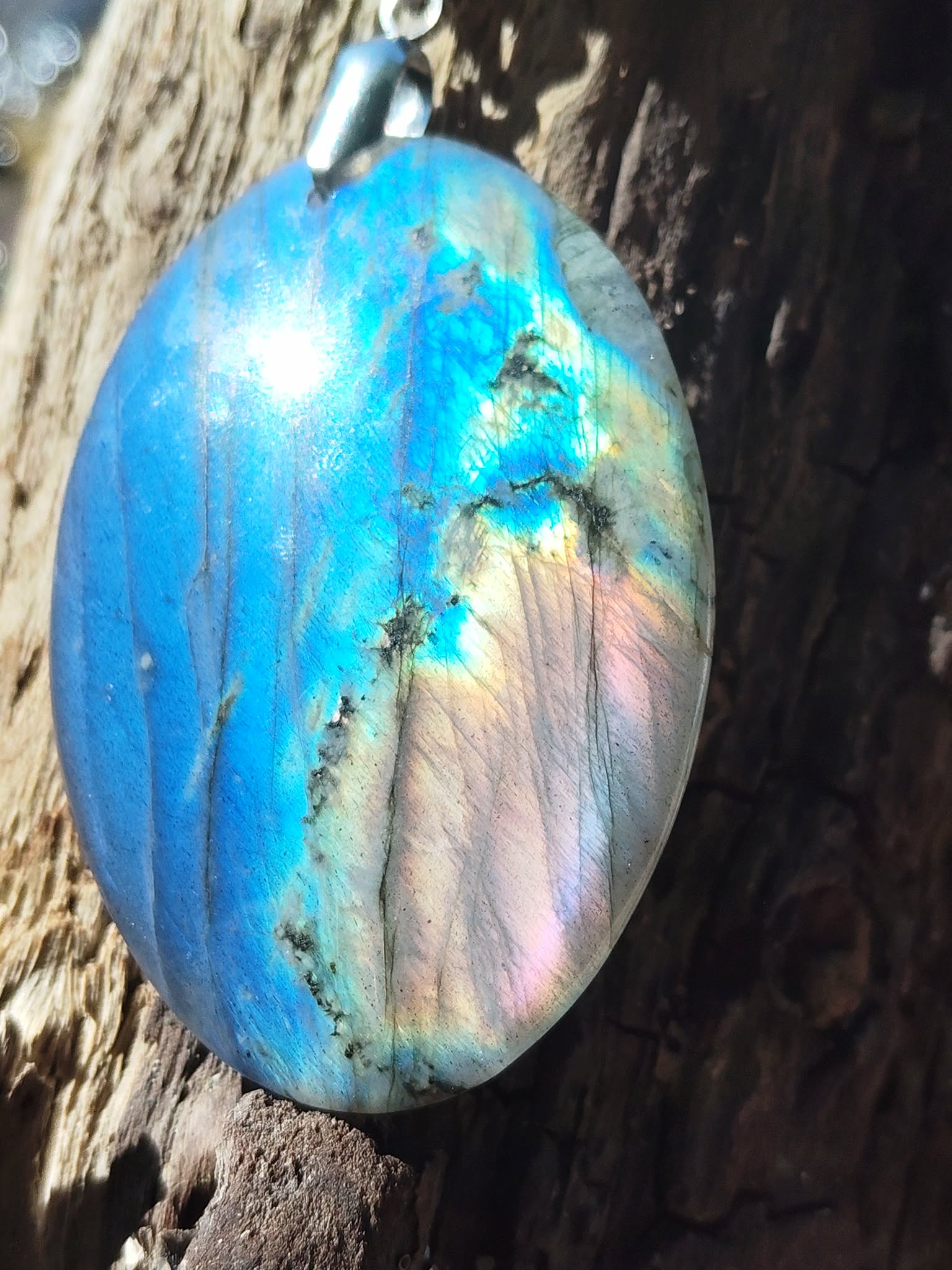 Pendentif labradorite ovale photographié sur bois naturel en forêt, reflets bleus lumineux et monture argentée, recentrage et protection subtile.