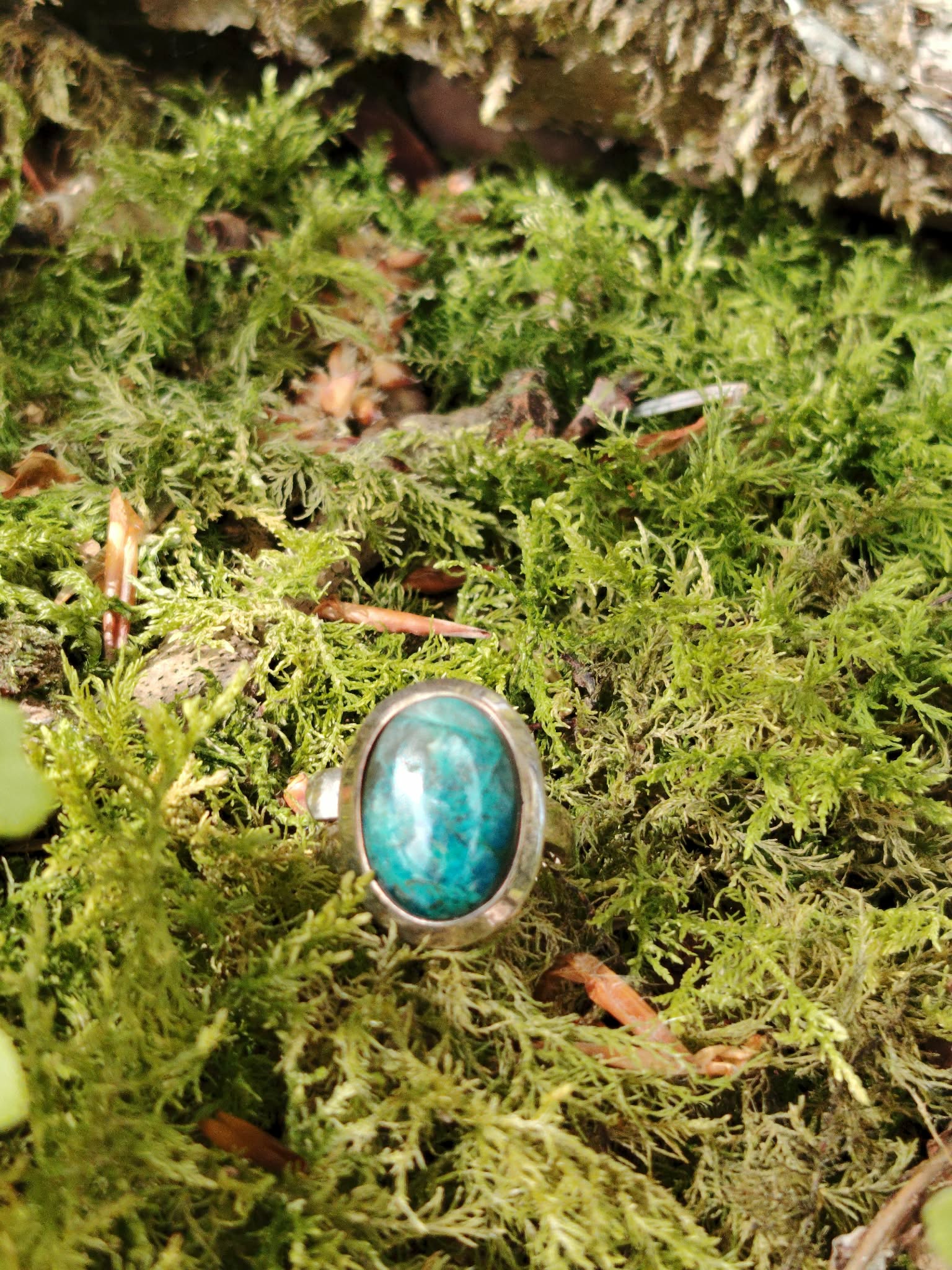 Bague chrysocolle argent 925 réglable posée dans la mousse en extérieur, pierre ovale bleu turquoise, apaisement, communication et harmonie émotionnelle.