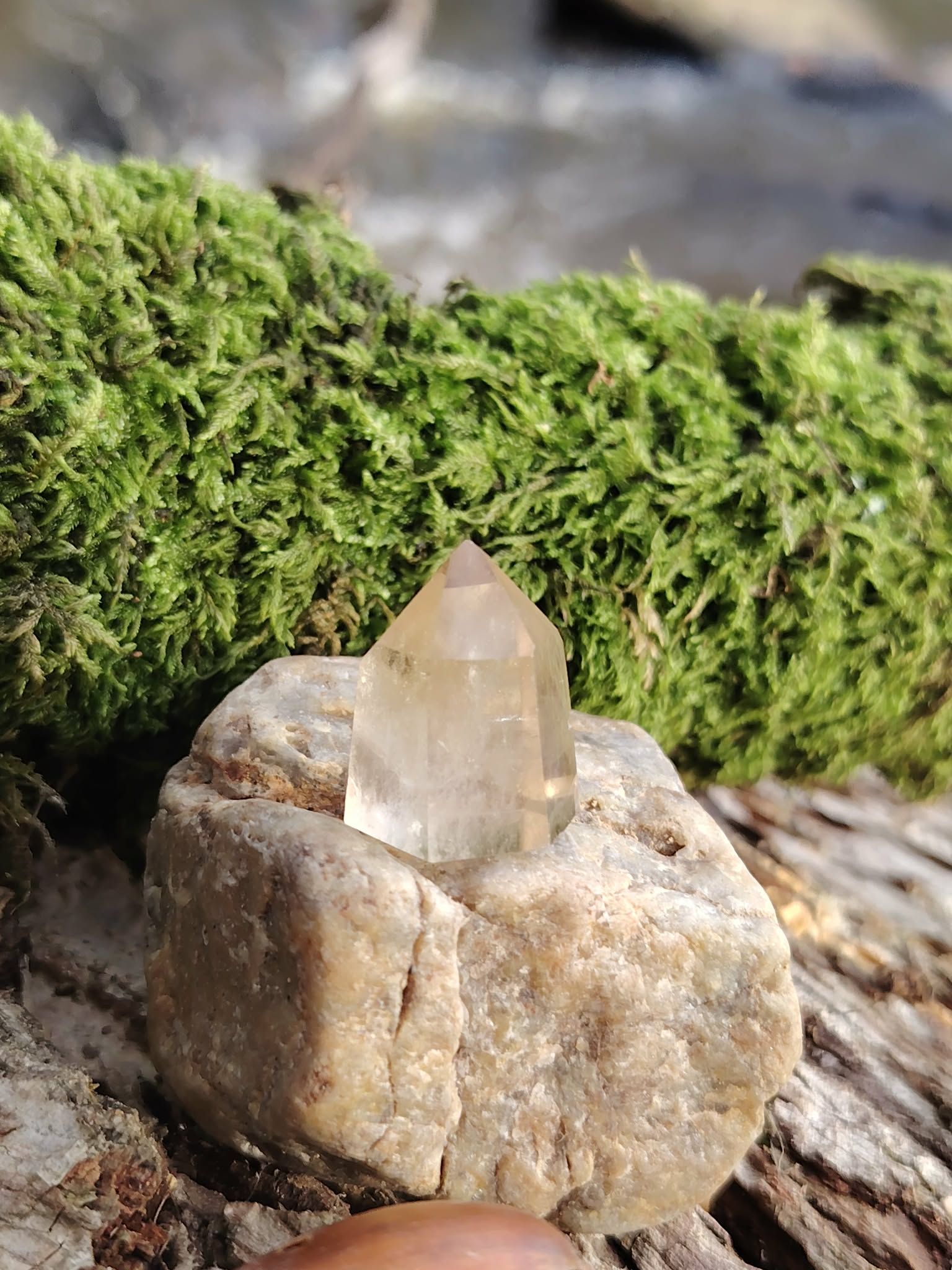 Pointe citrine naturelle présentée sur pierre claire avec mousse verte en fond, cristal poli jaune pâle, abondance, confiance et dynamisme.