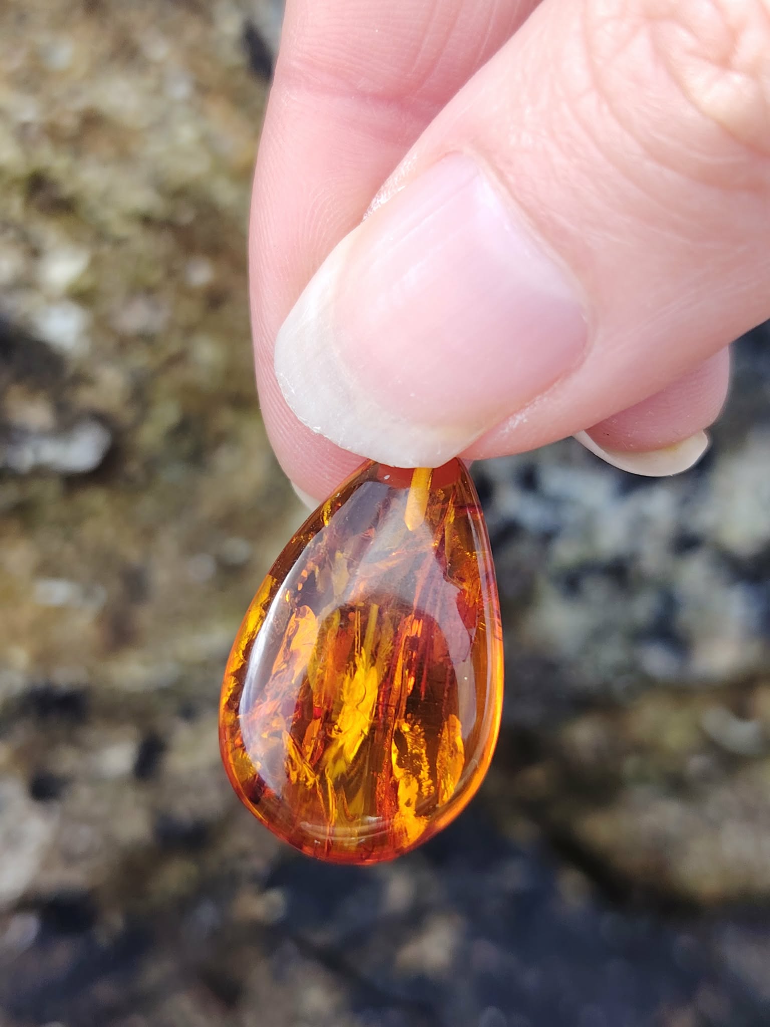 Ambre baltique goutte en gros plan devant les rochers bretons, résine fossile lumineuse aux inclusions dorées, vitalité et sérénité.