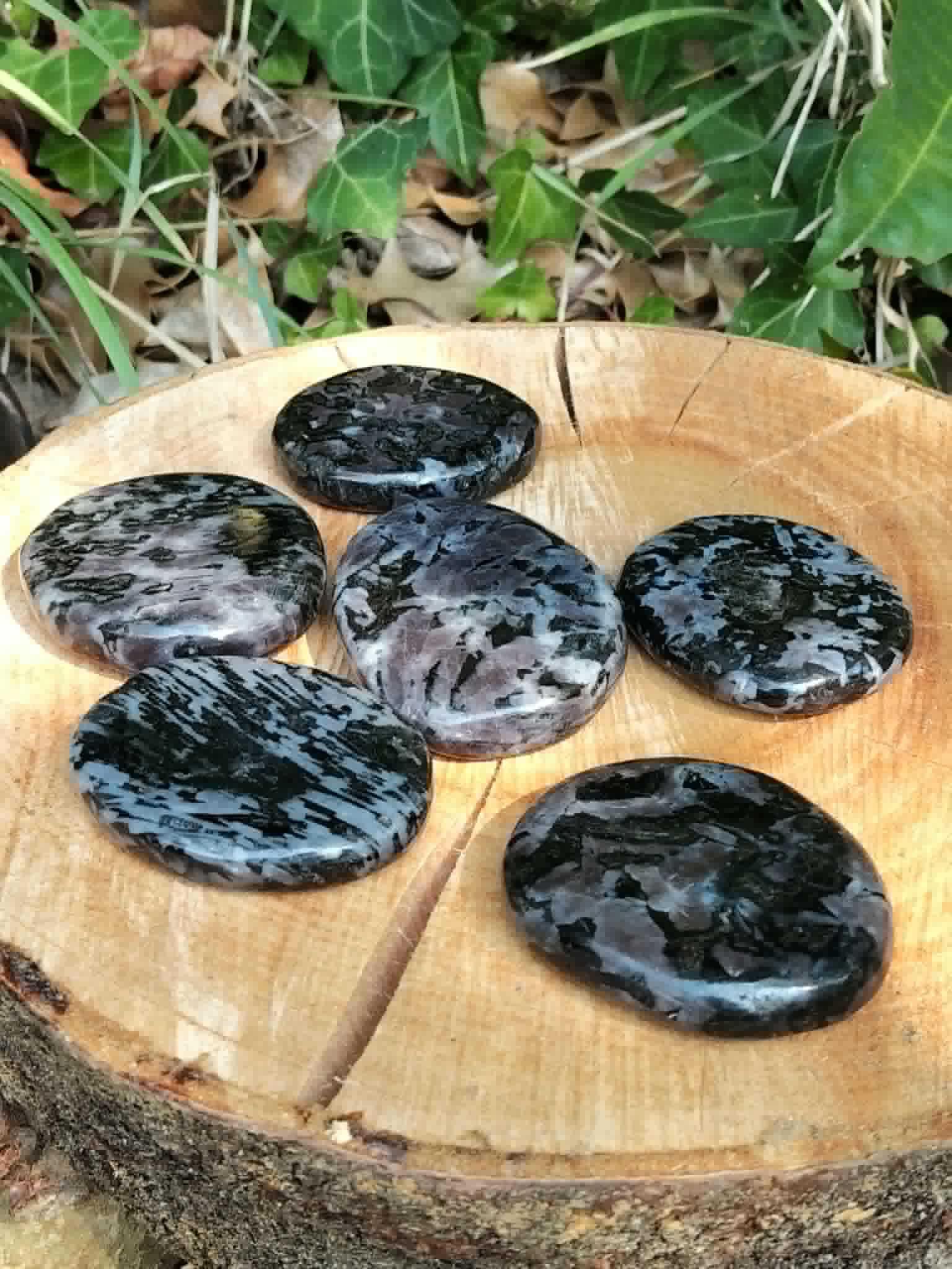 Galet merlinite mystique gabbro posé en décor naturel, pierre polie aux motifs uniques pour intuition et équilibre énergétique.