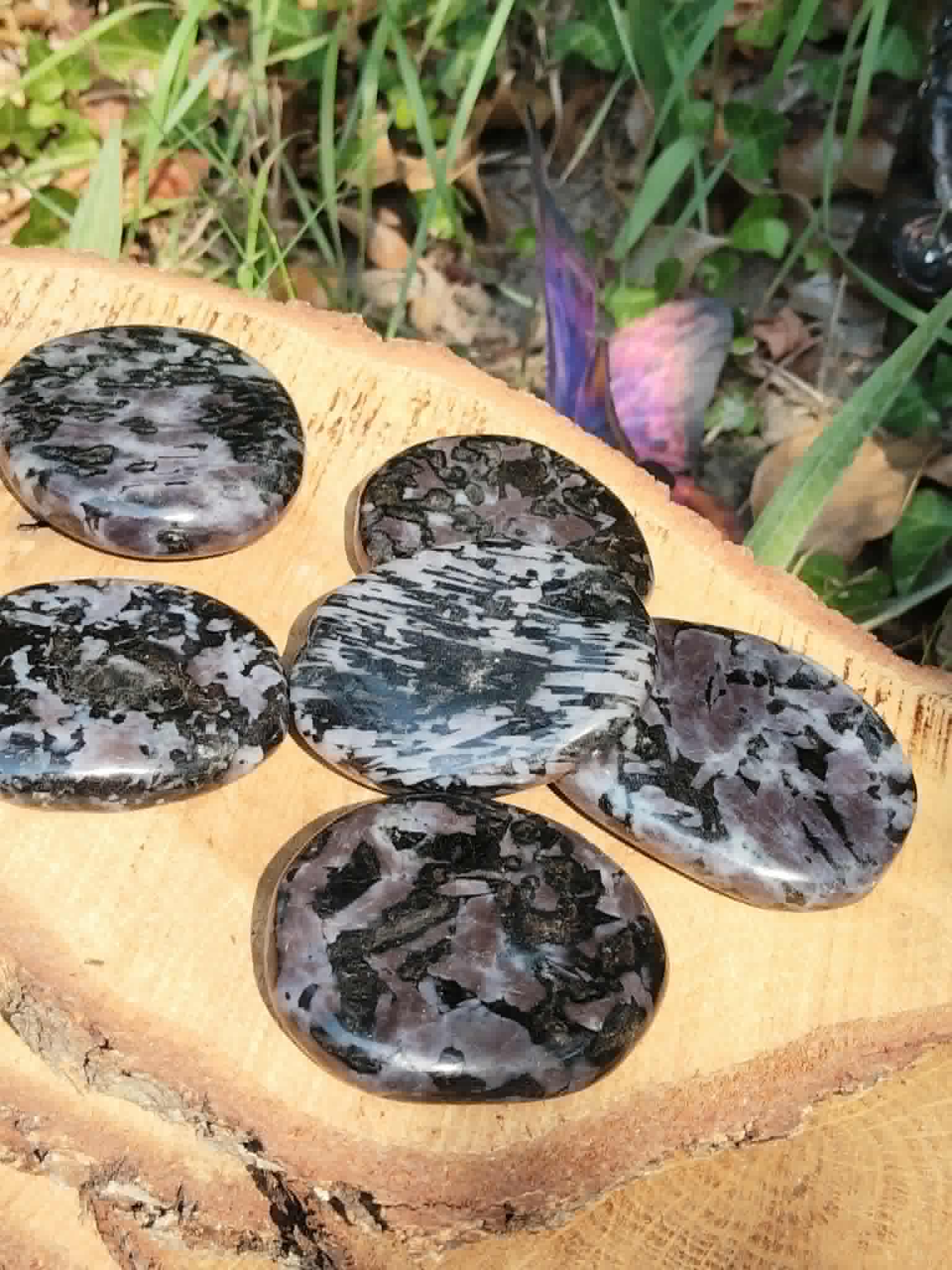 Galet gabbro naturel aussi appelé merlinite mystique, pierre polie sombre et veinée pour protection symbolique et introspection.