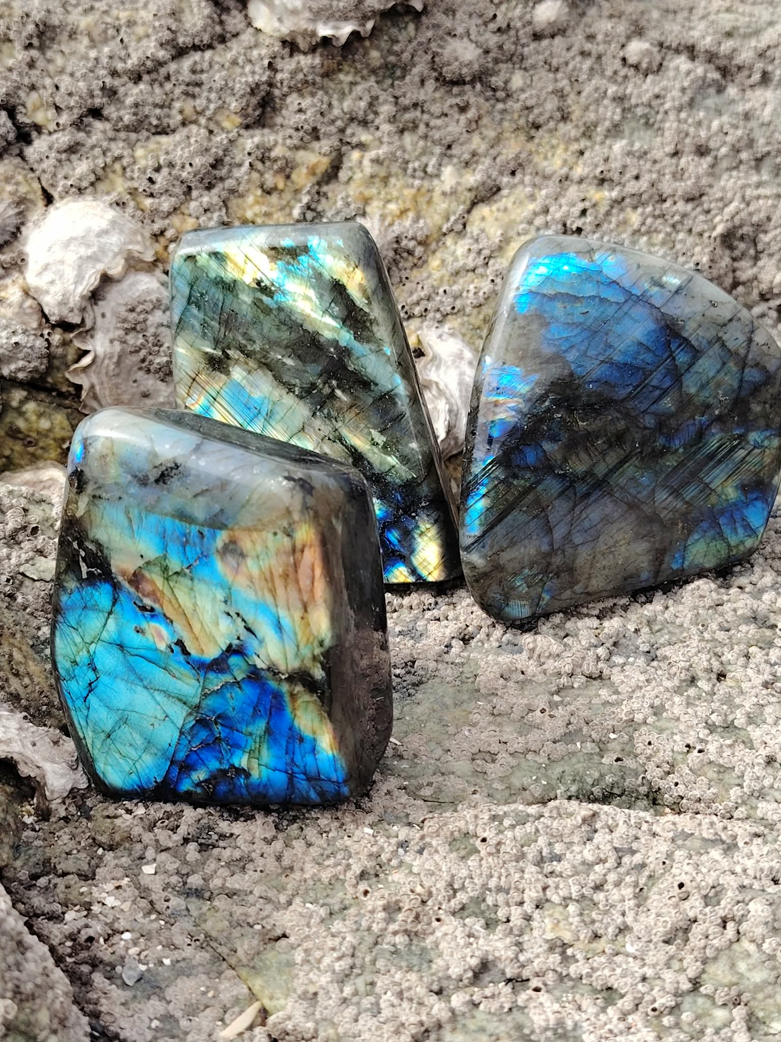 Trois formes libres en labradorite polie sur roche naturelle, reflets bleus et dorés pour protection énergétique et intuition.