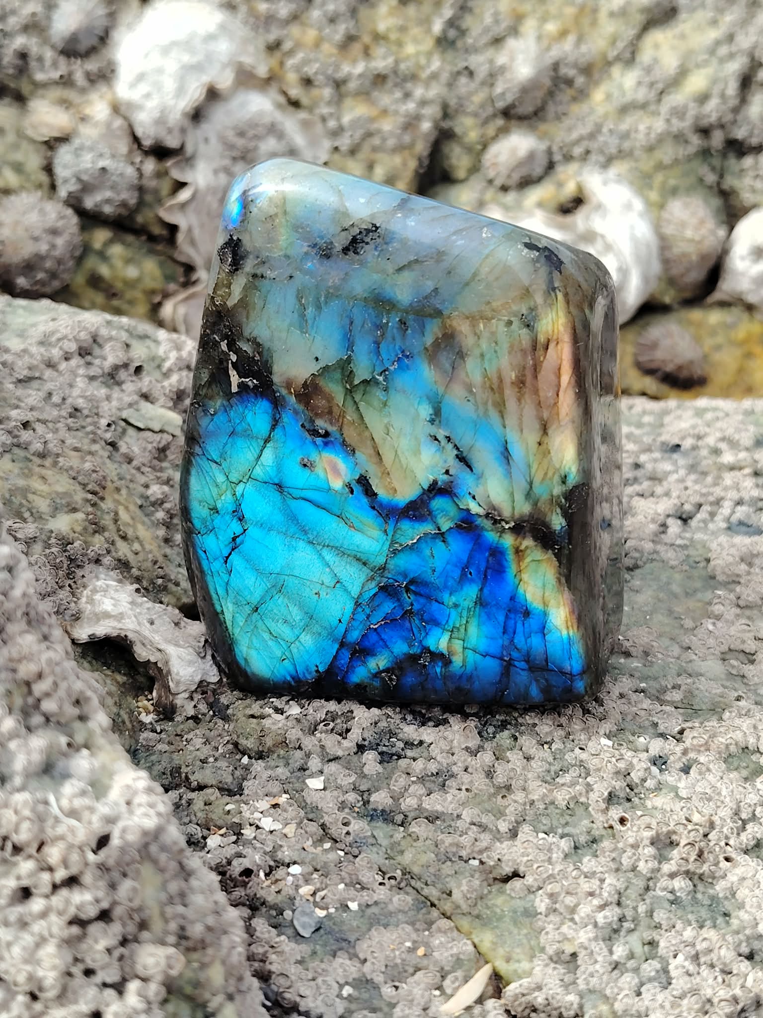 Labradorite polie aux éclats bleus sur surface minérale, forme libre naturelle pour recentrage et protection énergétique.