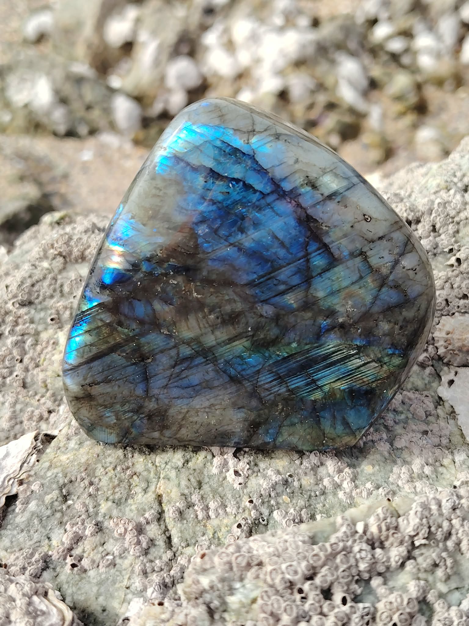 Formes libres labradorite sur fond blanc, pierres polies aux reflets bleus et dorés pour intuition, harmonie et énergie protectrice.