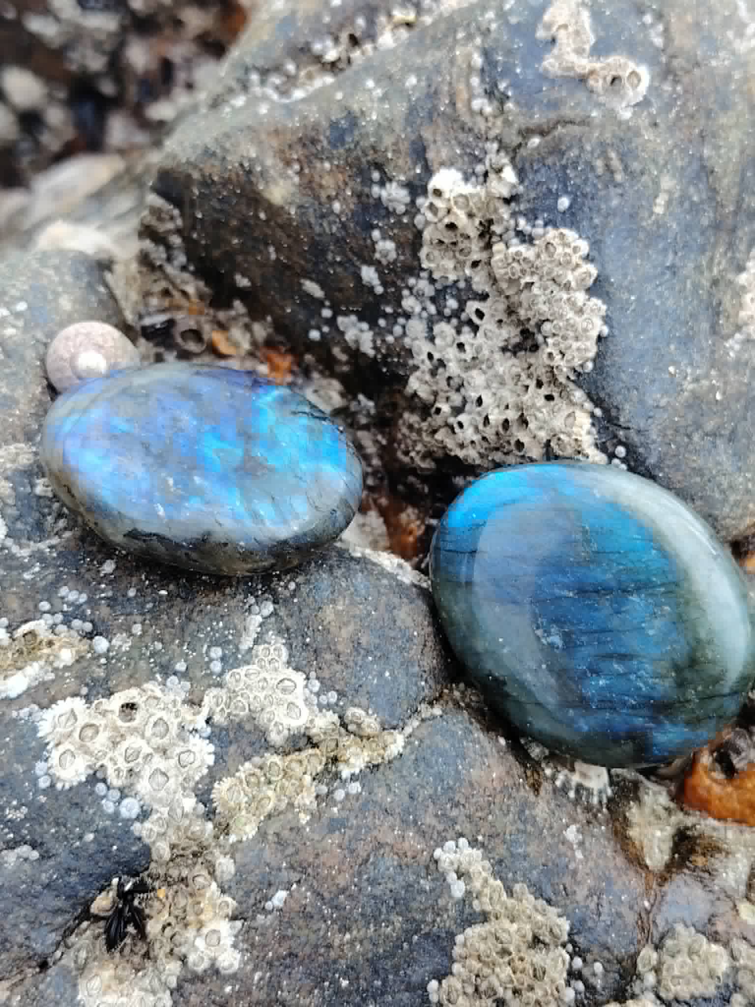 Labradorite polie sur décor minéral, reflets bleu profond et gris fumé pour protection symbolique et calme mental.