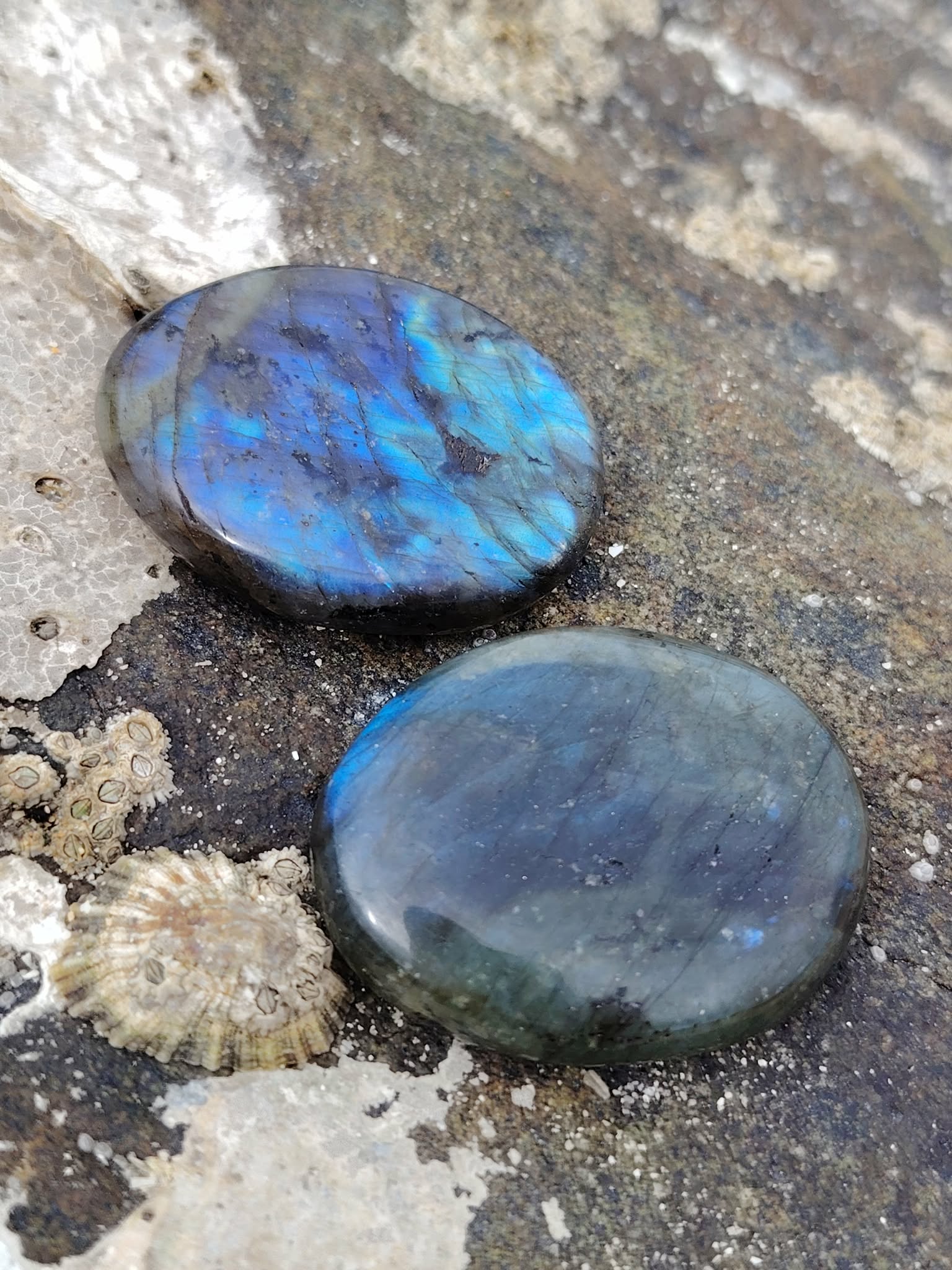 Galet labradorite polie présenté en ambiance naturelle, pierre aux reflets changeants pour sérénité et recentrage.