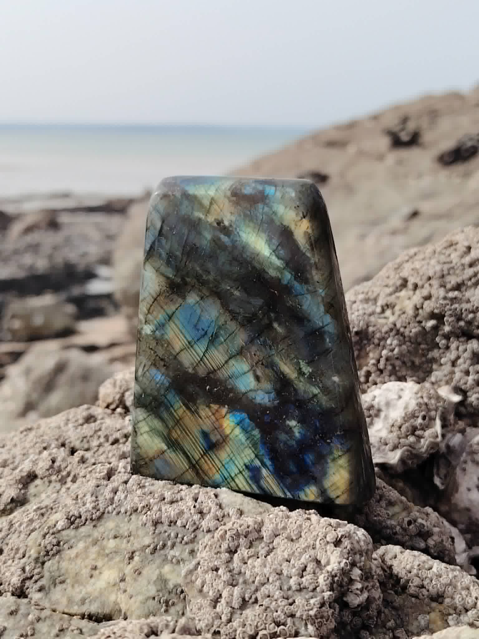 Labradorite polie dressée sur rochers bretons, mer floutée en arrière-plan pour intuition calme et énergie stable.