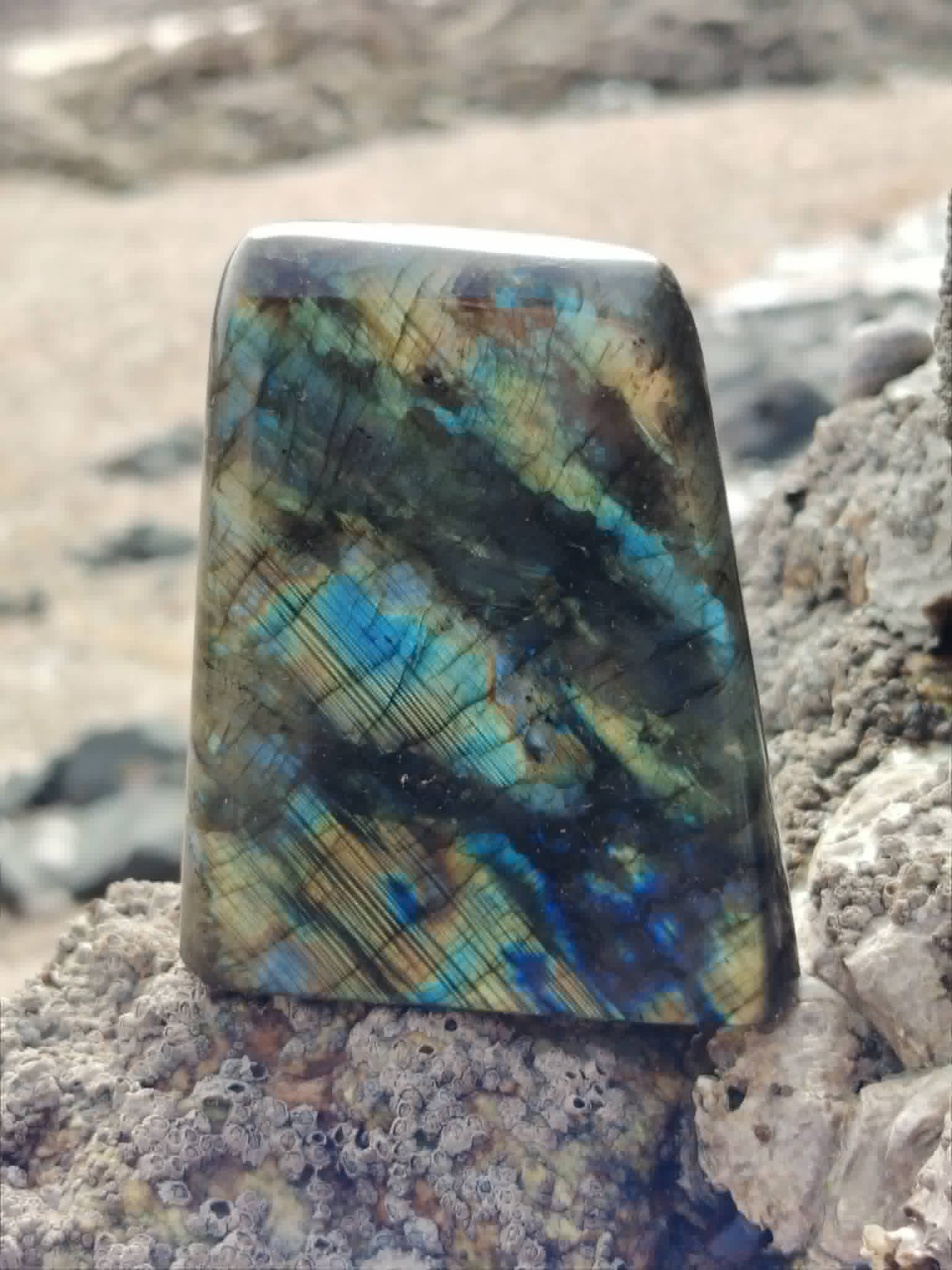 Forme libre Labradorite sur roche du littoral breton, éclats bleus verts pour présence, recul et équilibre émotionnel.