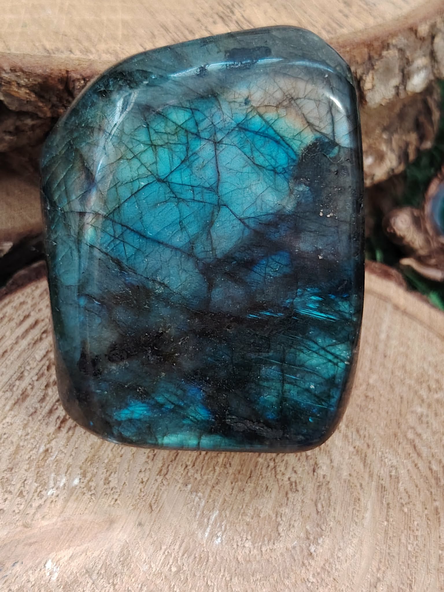 Labradorite forme libre sur tranche de bois, veines sombres et lumière turquoise pour recentrage et bouclier énergétique.