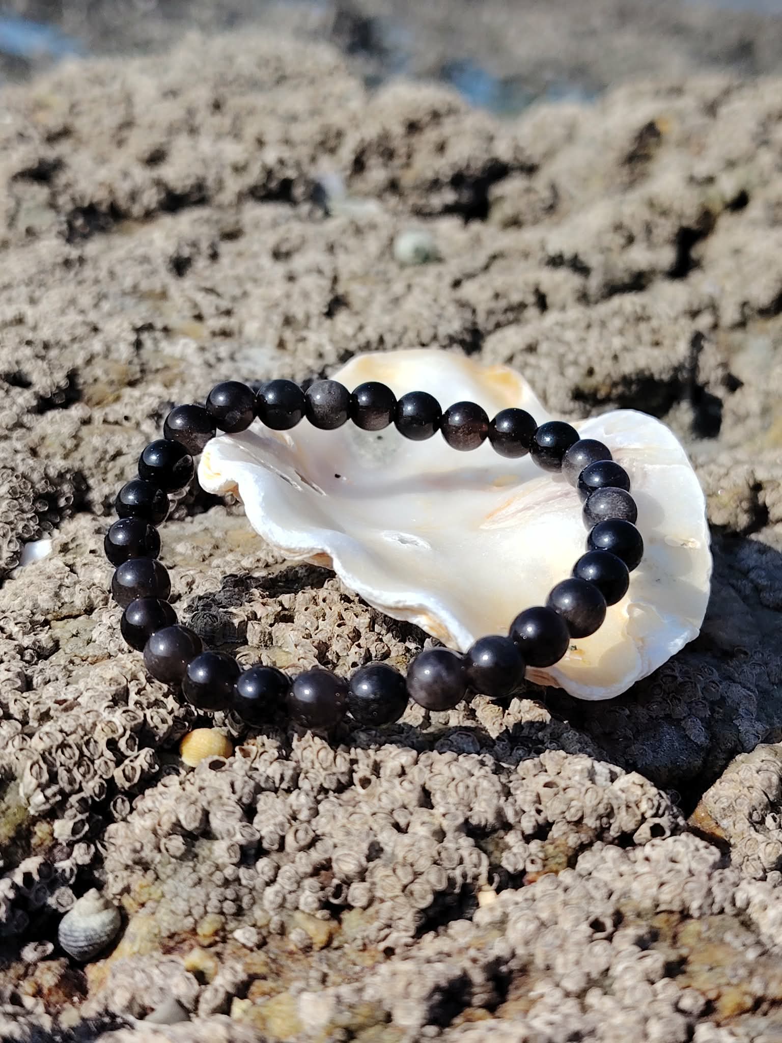 Bracelet Obsidienne Argentée présenté sur coquillage et roche marine, perles noires 6 mm pour introspection, lucidité et énergie protectrice.