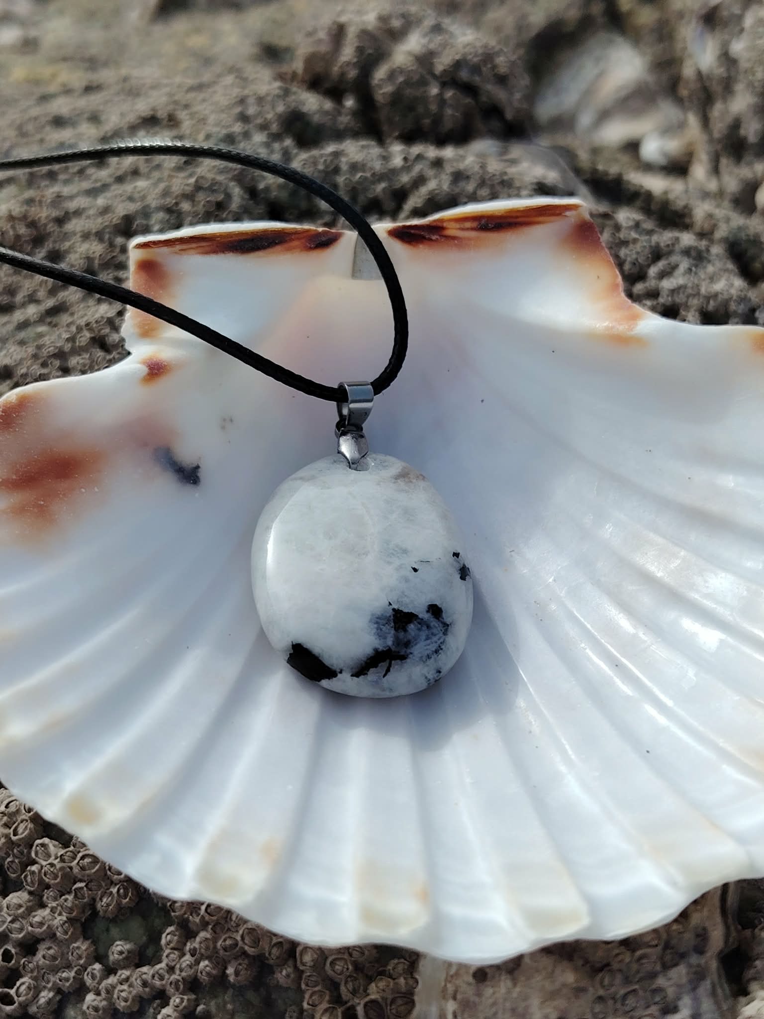 Pendentif Péristérite sur cordon noir posé dans une coquille blanche, pierre nacrée aux inclusions sombres en décor marin breton.