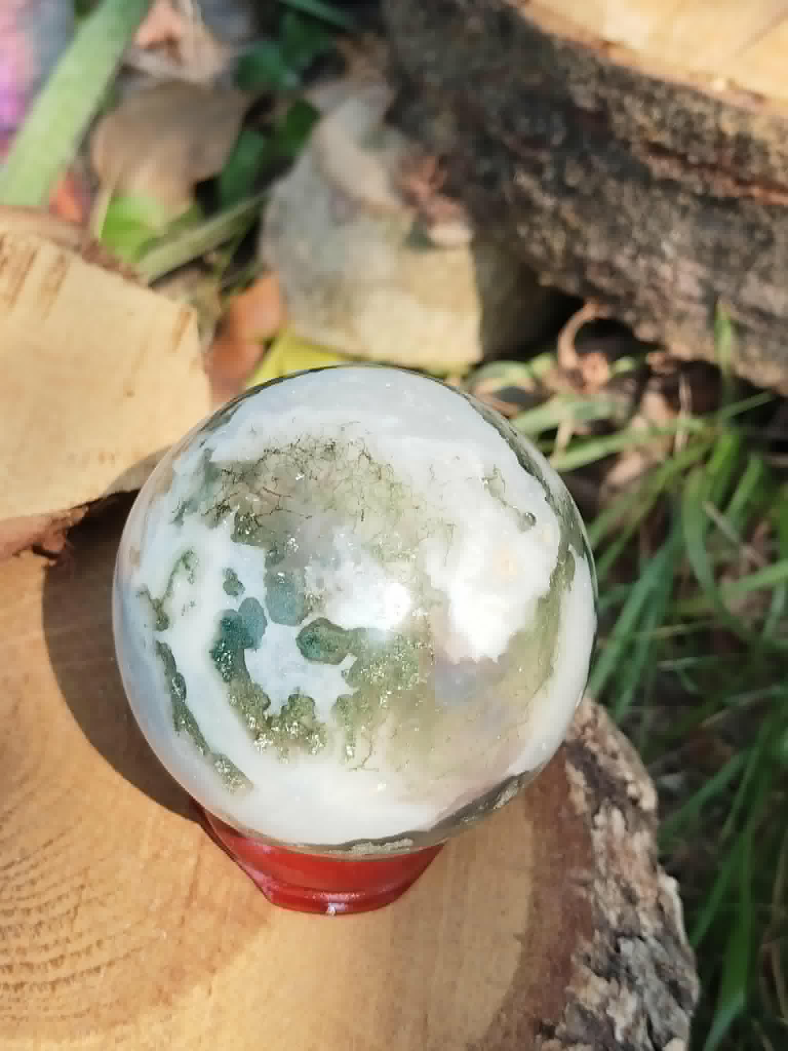 Minéral poli Agate Arbre vu de près sur rondin, nuances brumeuses et connexion symbolique à la nature.