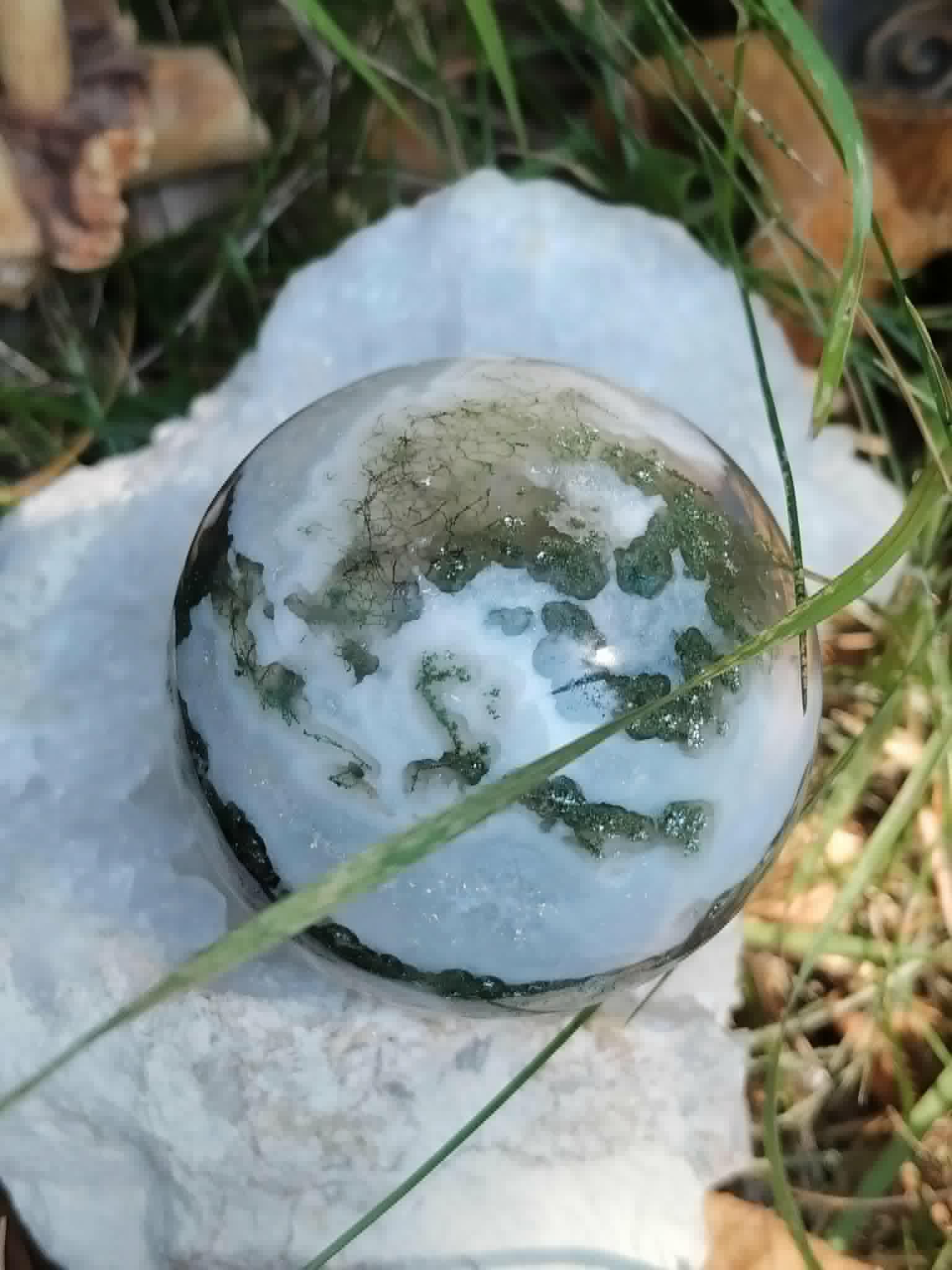 Pierre Agate Arbre sur roche claire parmi les herbes, marbrures vertes et blanches pour le recentrage.