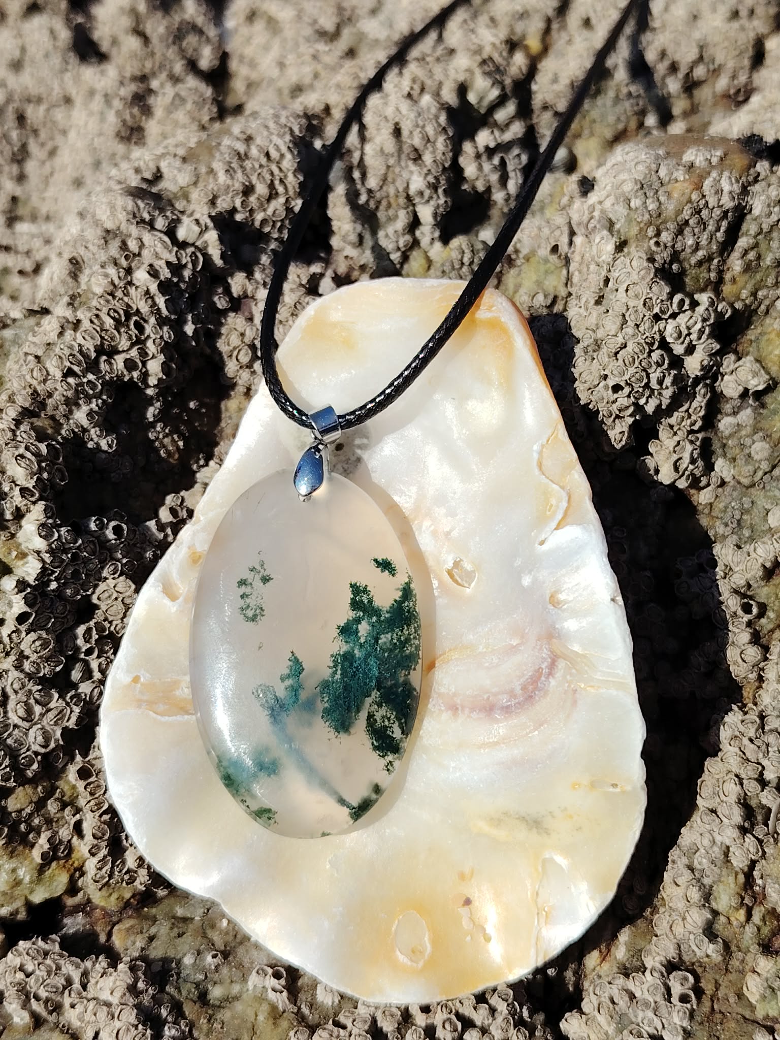Agate Mousse ovale posée dans un coquillage sur roche bretonne, nuances translucides et dendrites vertes.