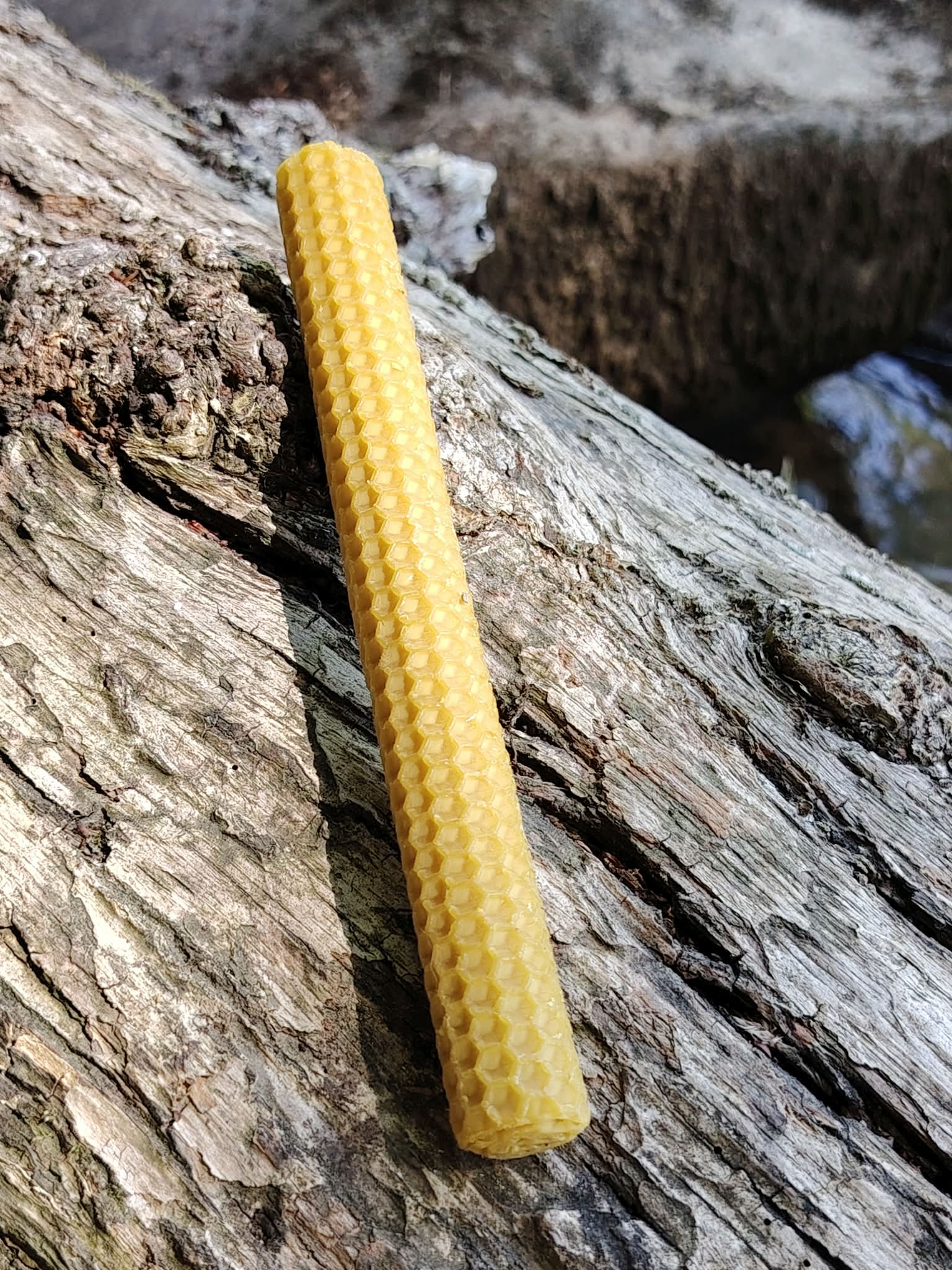 Bougie roulée en cire d’abeille gaufrée sur bois brut en pleine nature, pour rituel, détente et bienfaits condensateur fluidique