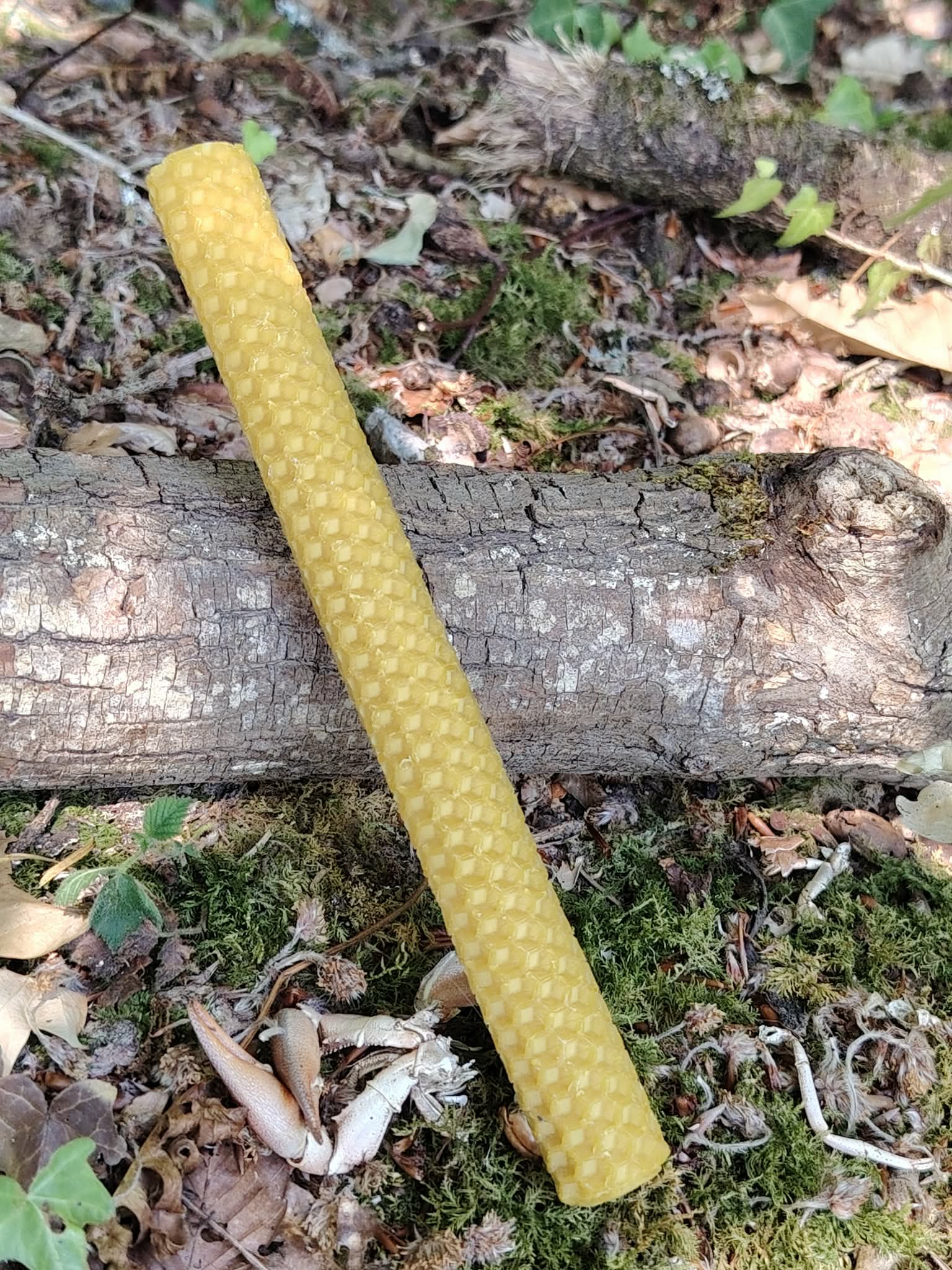 Bougie artisanale en cire d’abeille posée en diagonale sur un tronc, décor naturel pour méditation et moment de calme