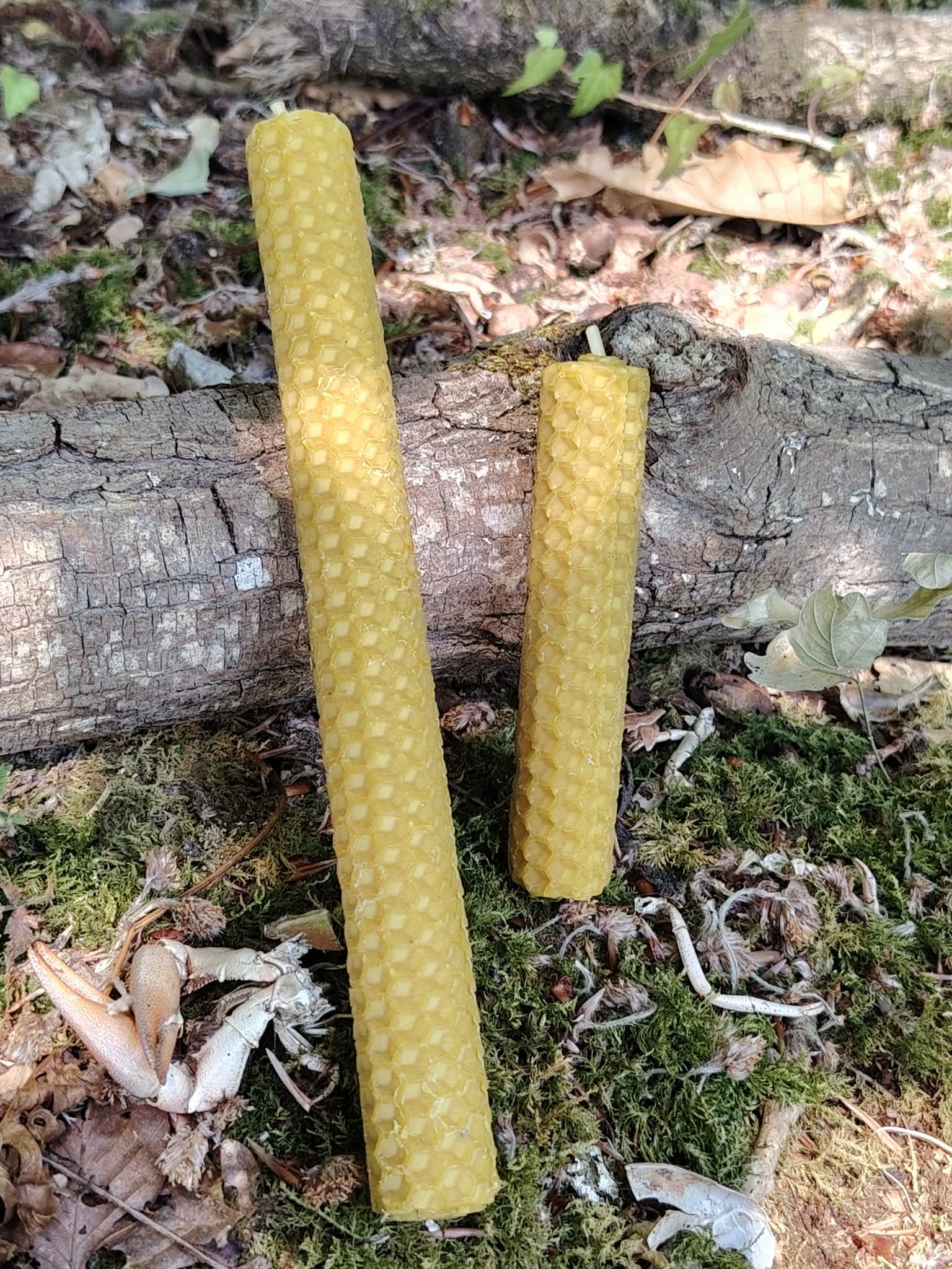 Grande et petite bougies en cire d’abeille naturelle 20 cm et 10 cm sur bois, pour rituel, méditation et ambiance douce