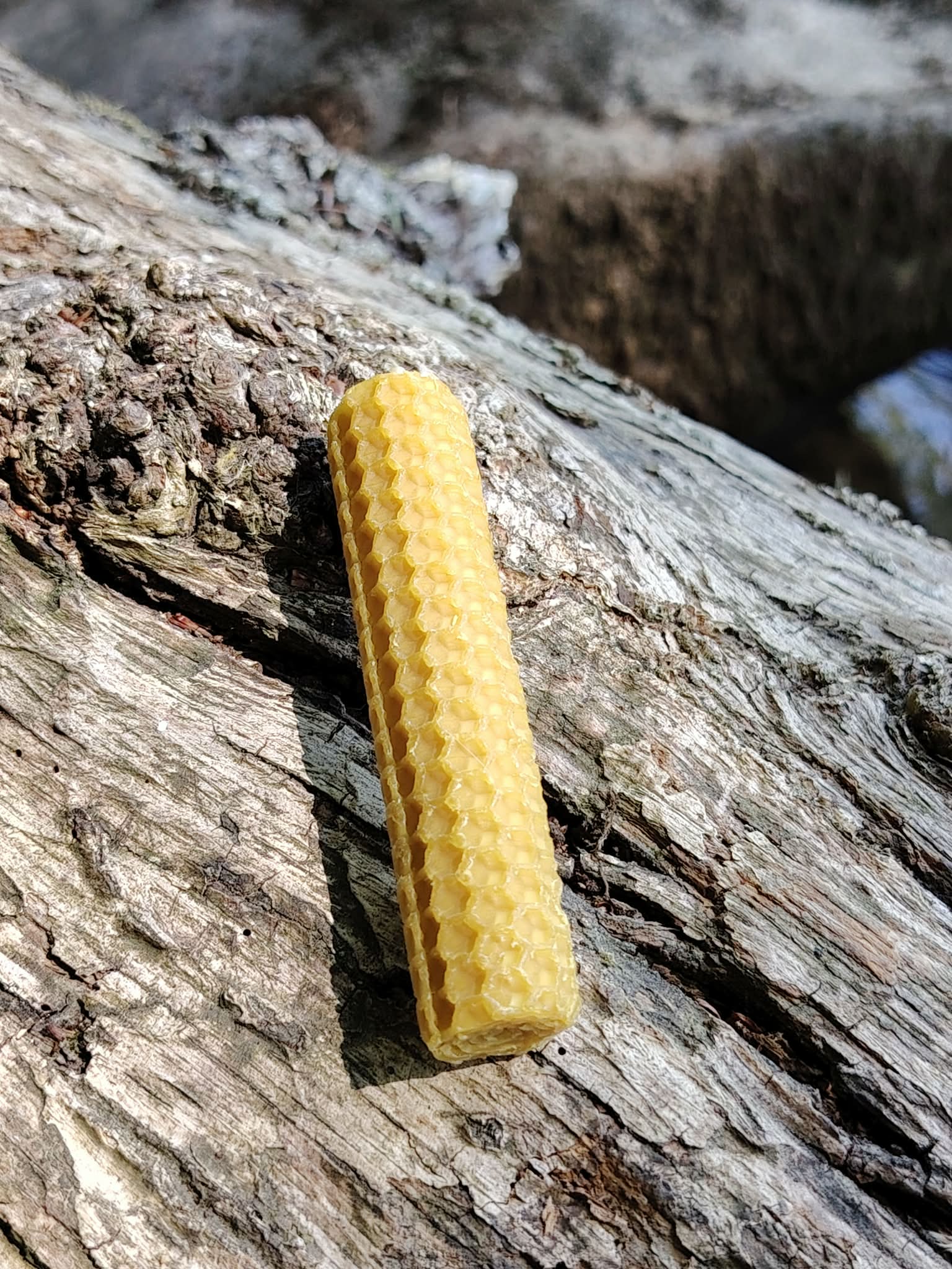 Petit format en cire gaufrée sur bois brut au bord de l’eau, bienfaits propices à la détente