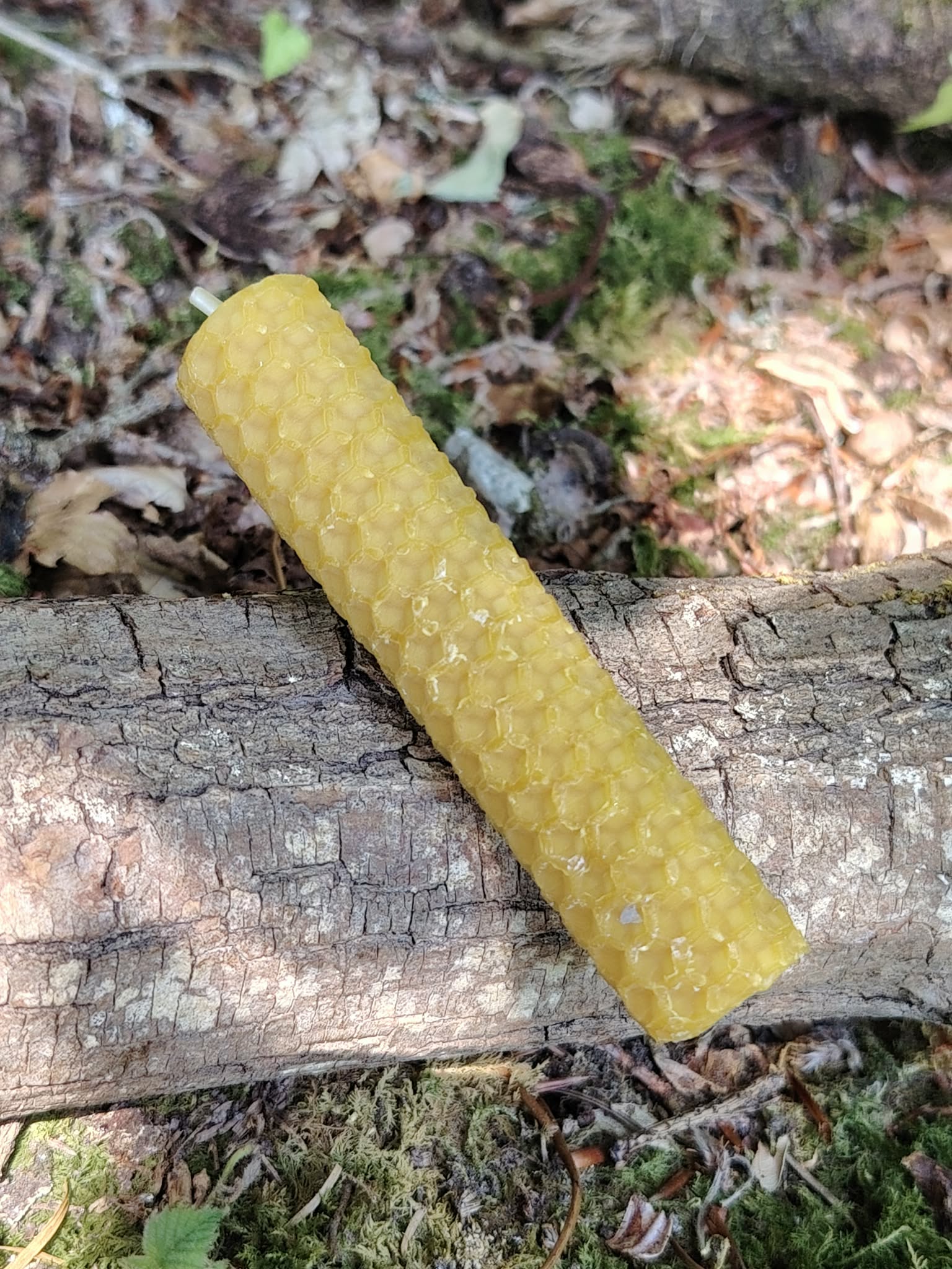 Petit modèle 10 cm en cire d’abeille allongé sur un tronc, bienfaits associés au calme intérieur