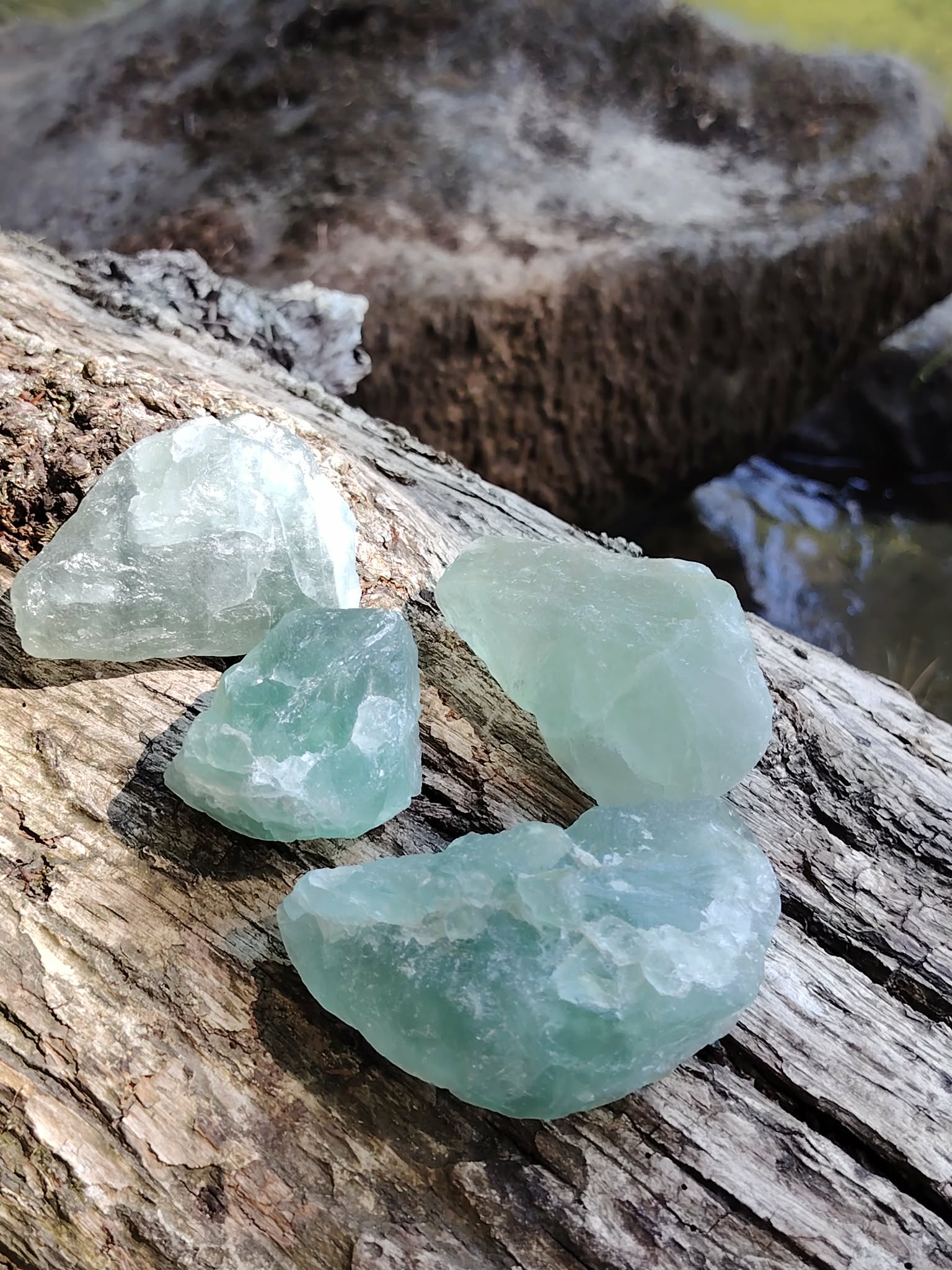 Fluorite verte brute naturelle posée sur un tronc de bois en forêt, pierres de lithothérapie aux nuances vert translucide